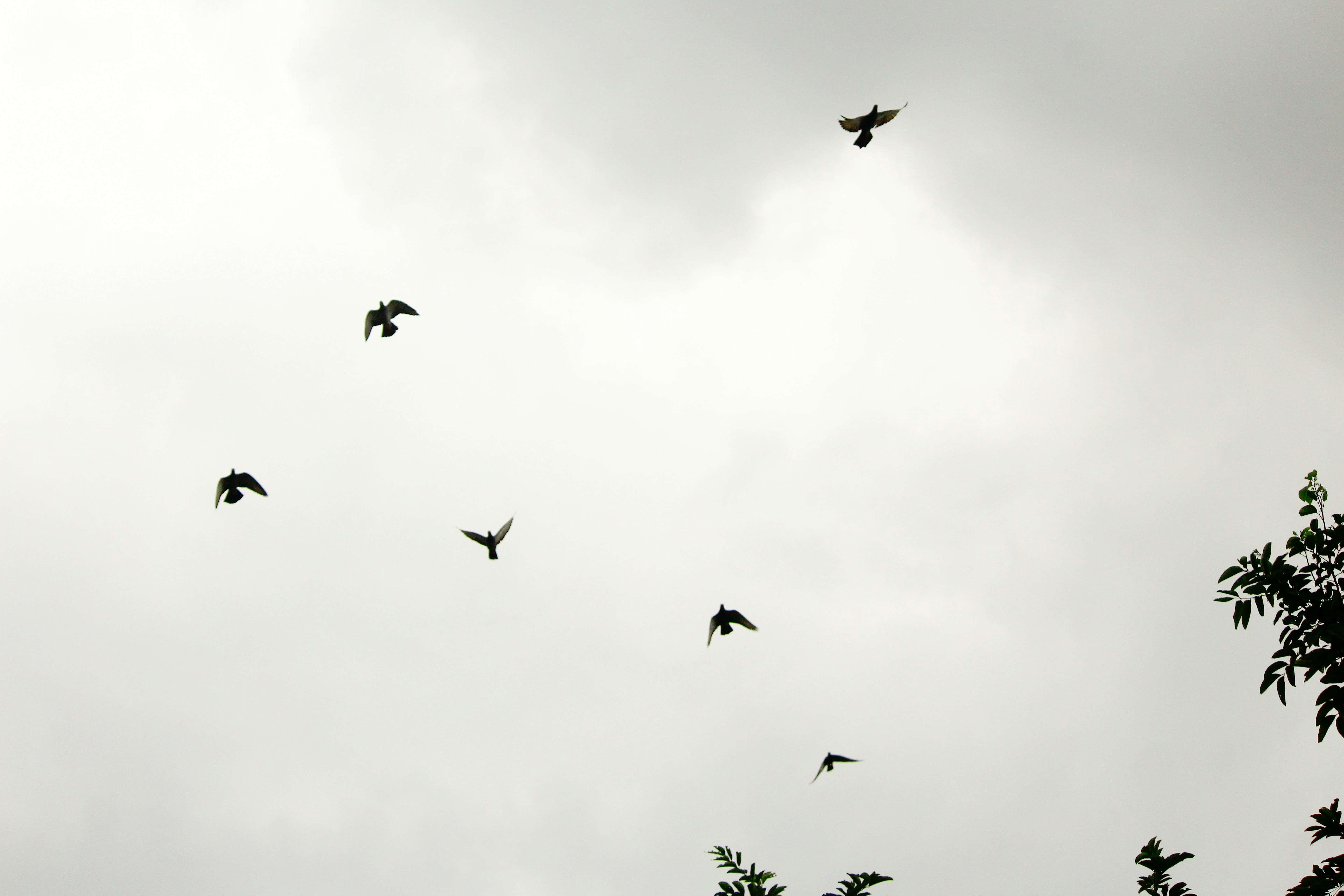 Photo by nsnclicks