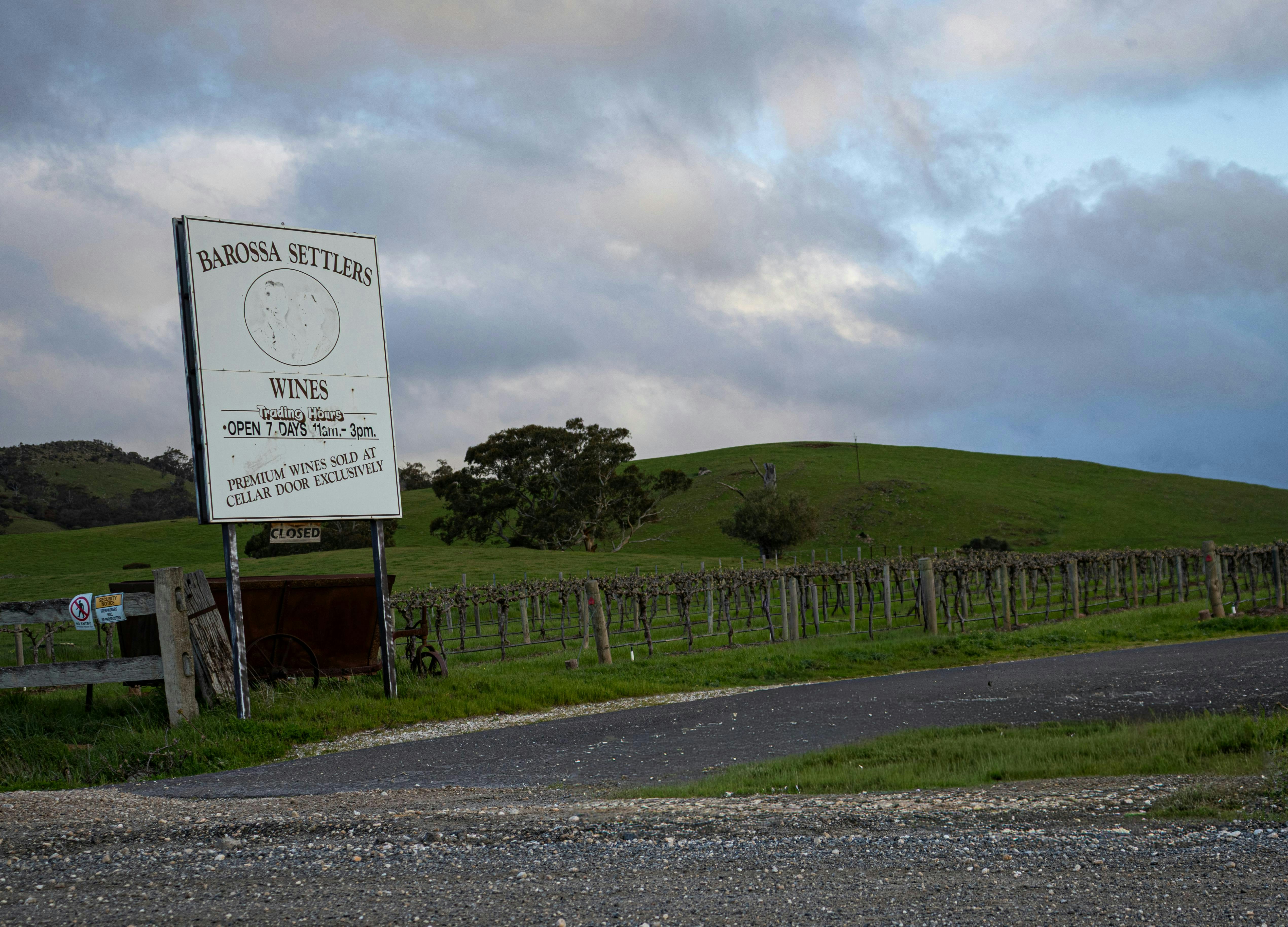 barossa valley vineyards
