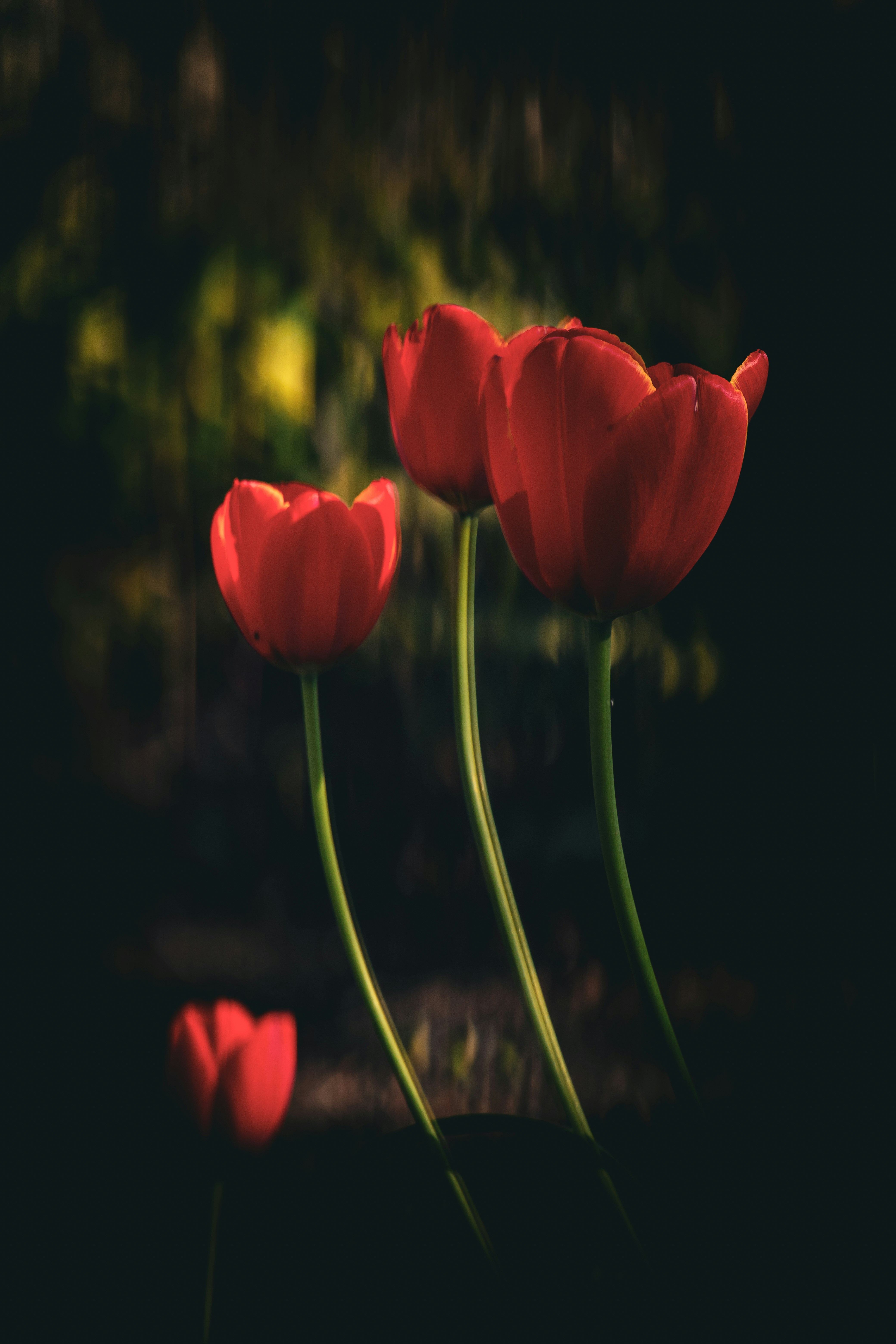 Photo by atelierbyvineeth