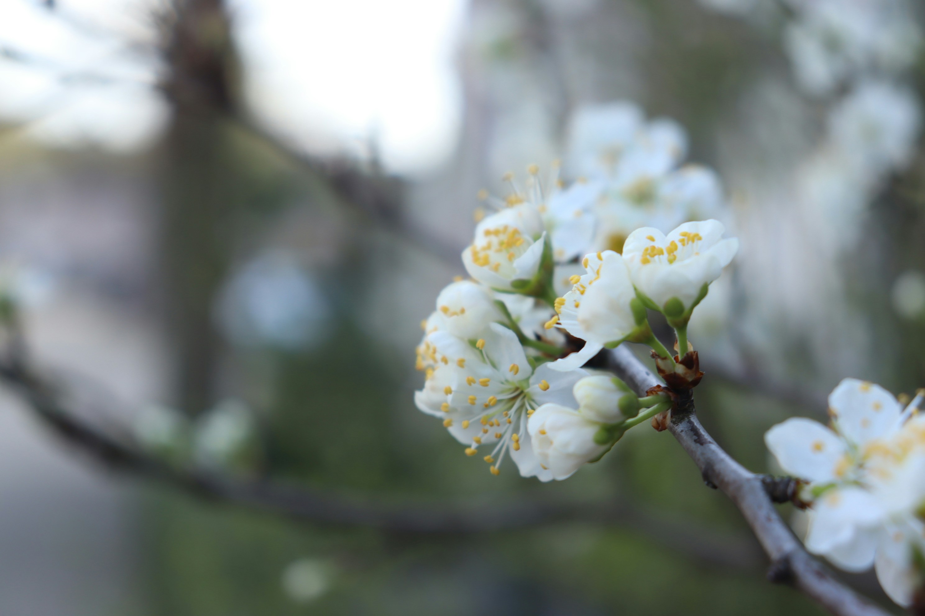 Photo by moonlightendearer