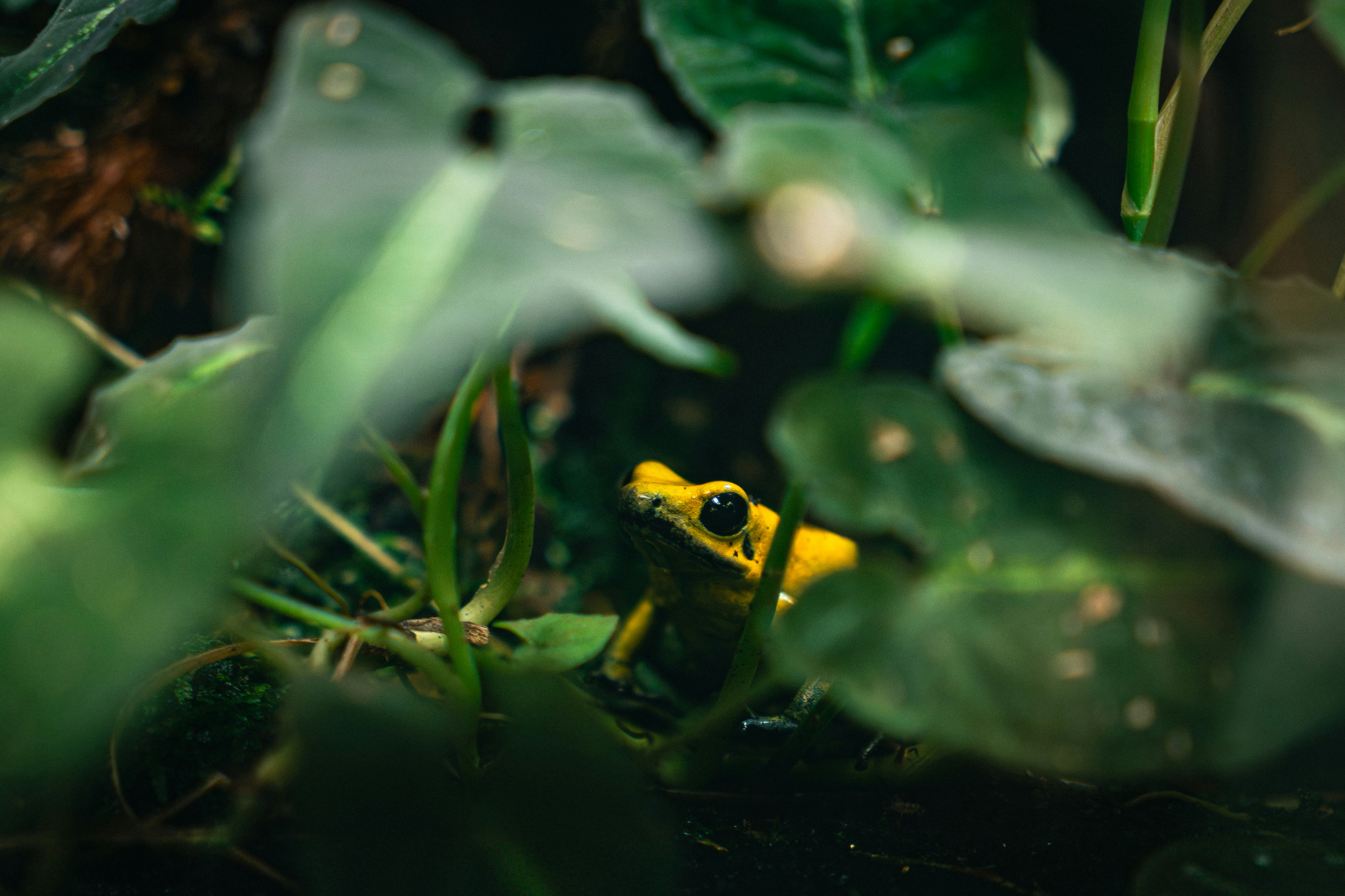 Photo by filipchmielecki