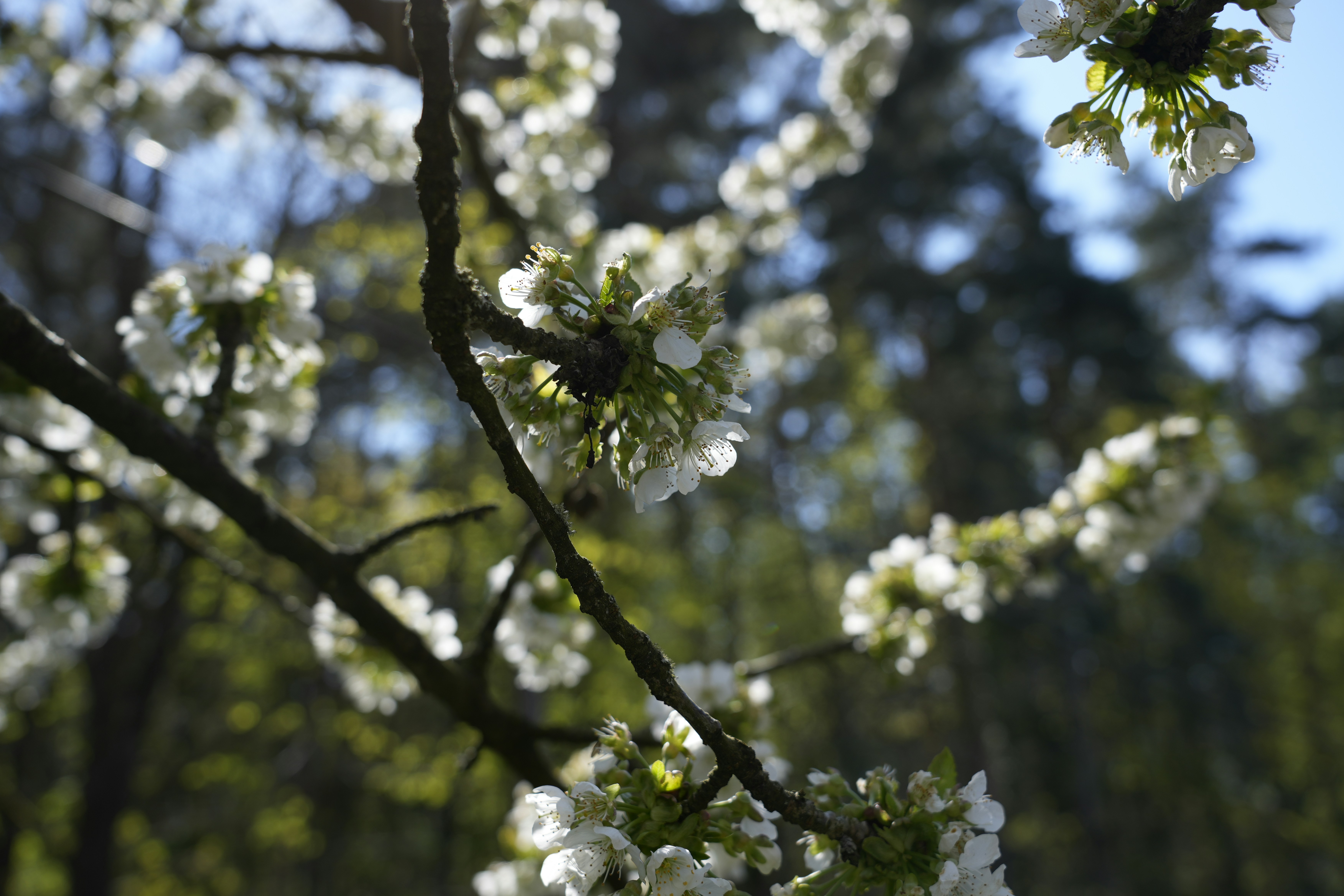 Photo by antjewinkler