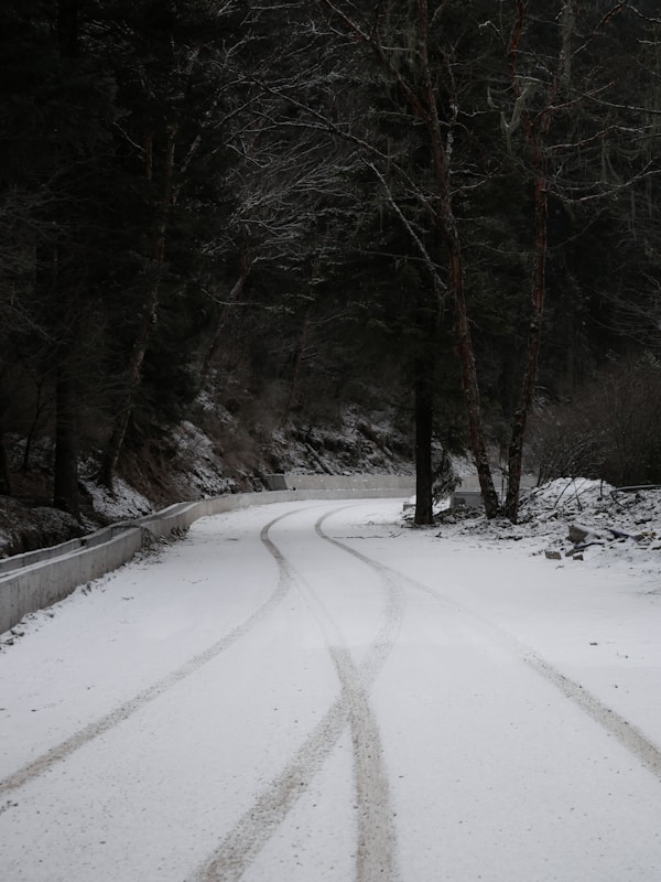 昏暗森林雪路上清楚的前車輪痕