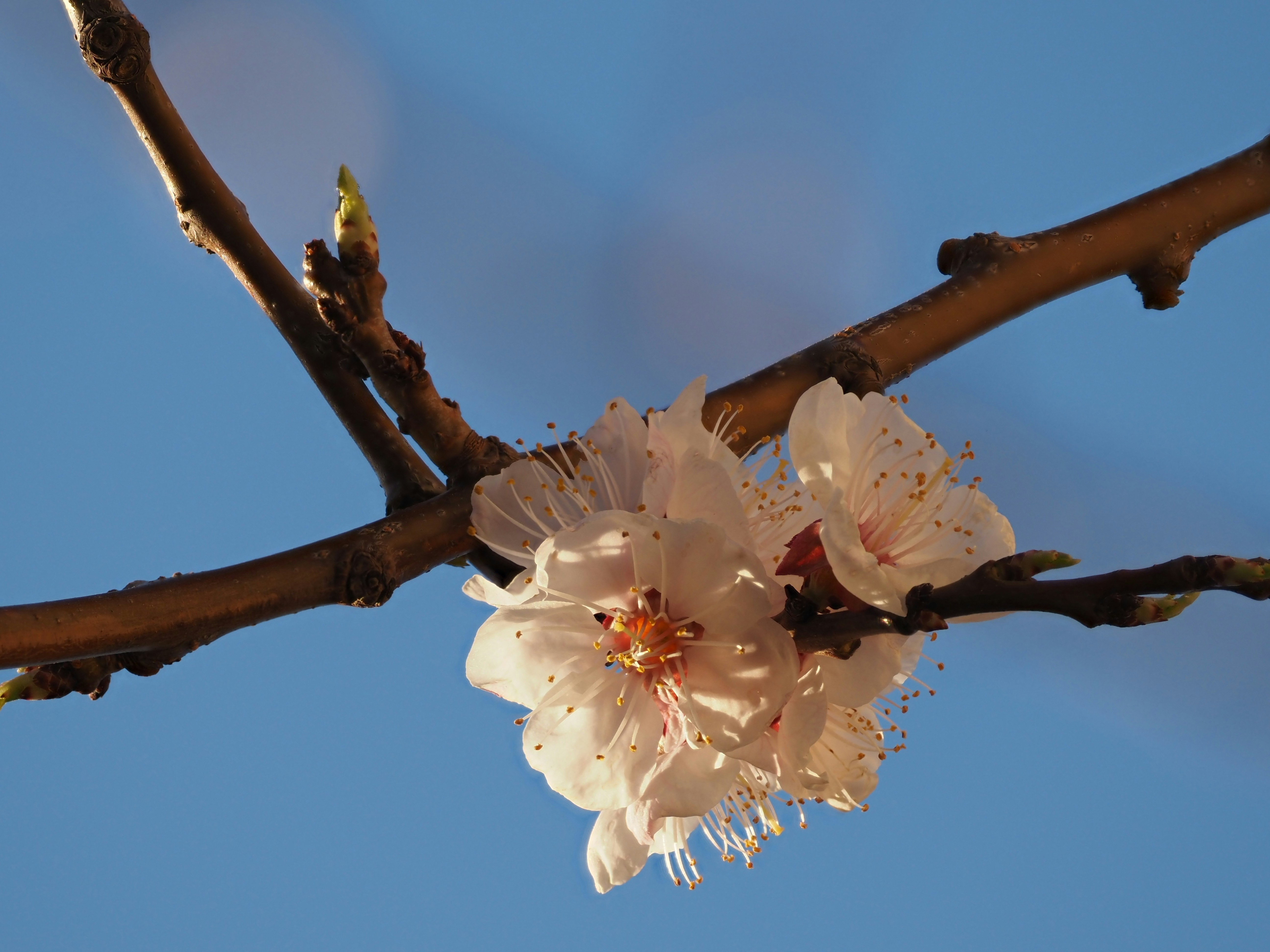 Photo by juriia56