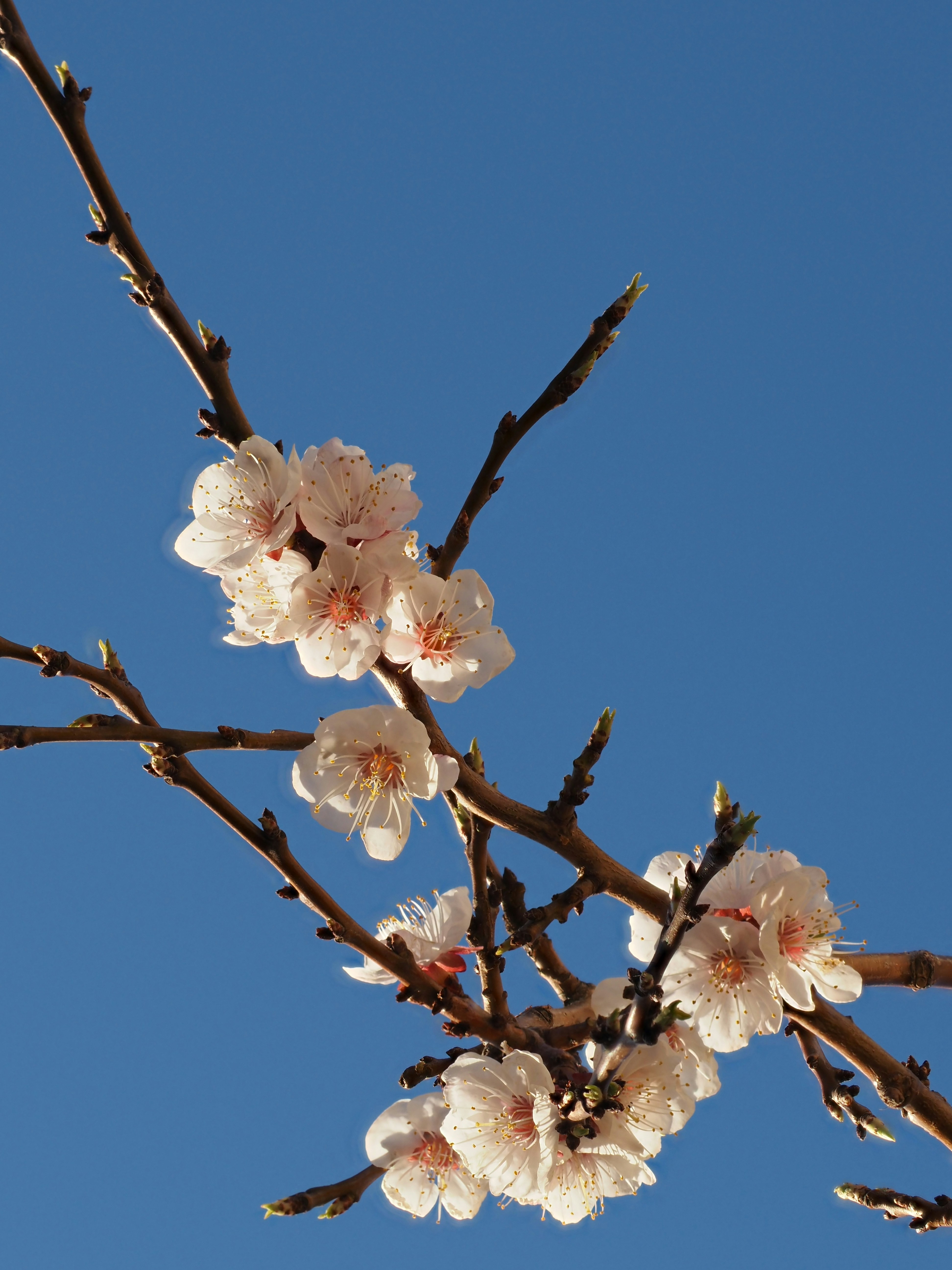 Photo by juriia56