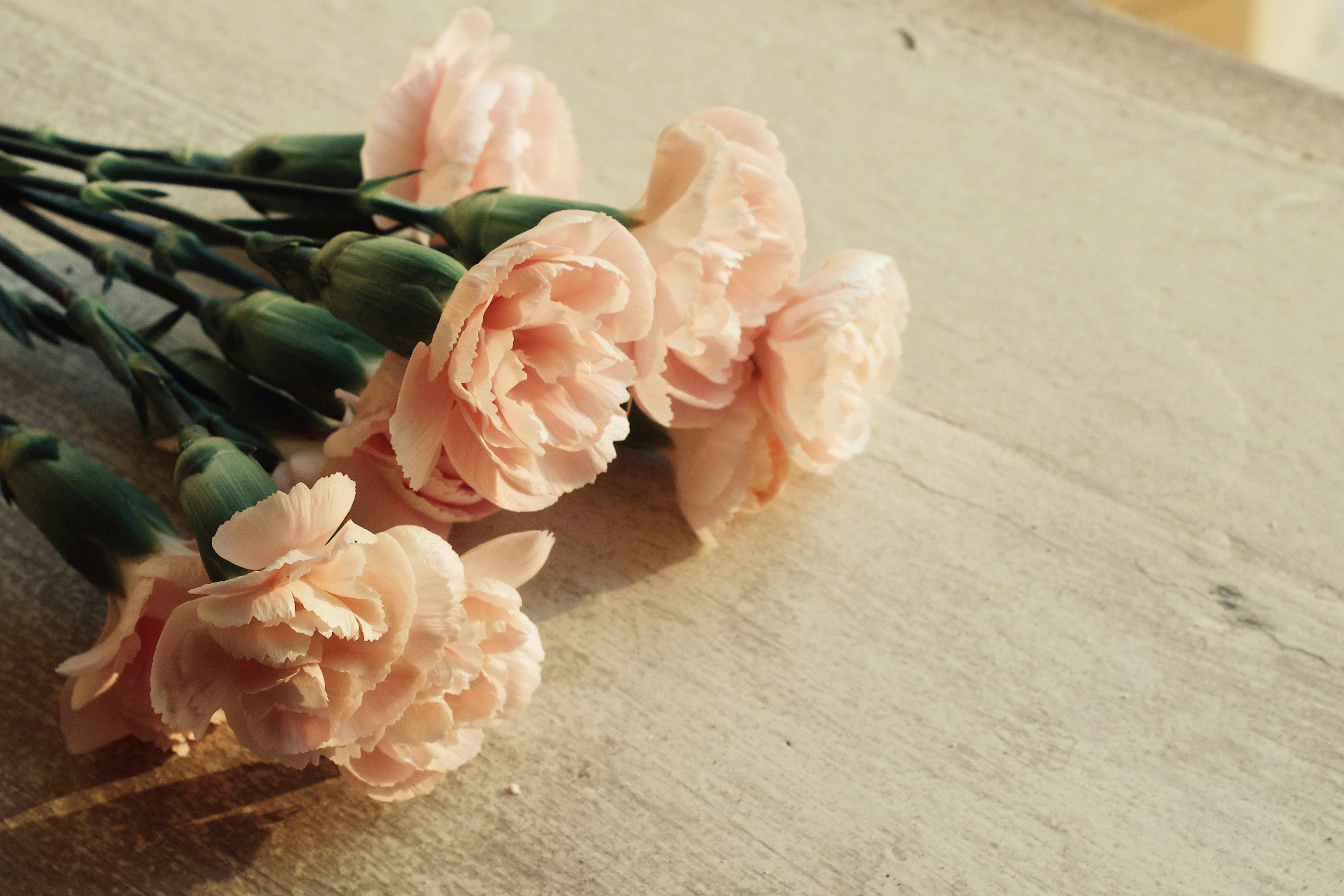Un bouquet d’œillets roses délicats sur une surface en bois.