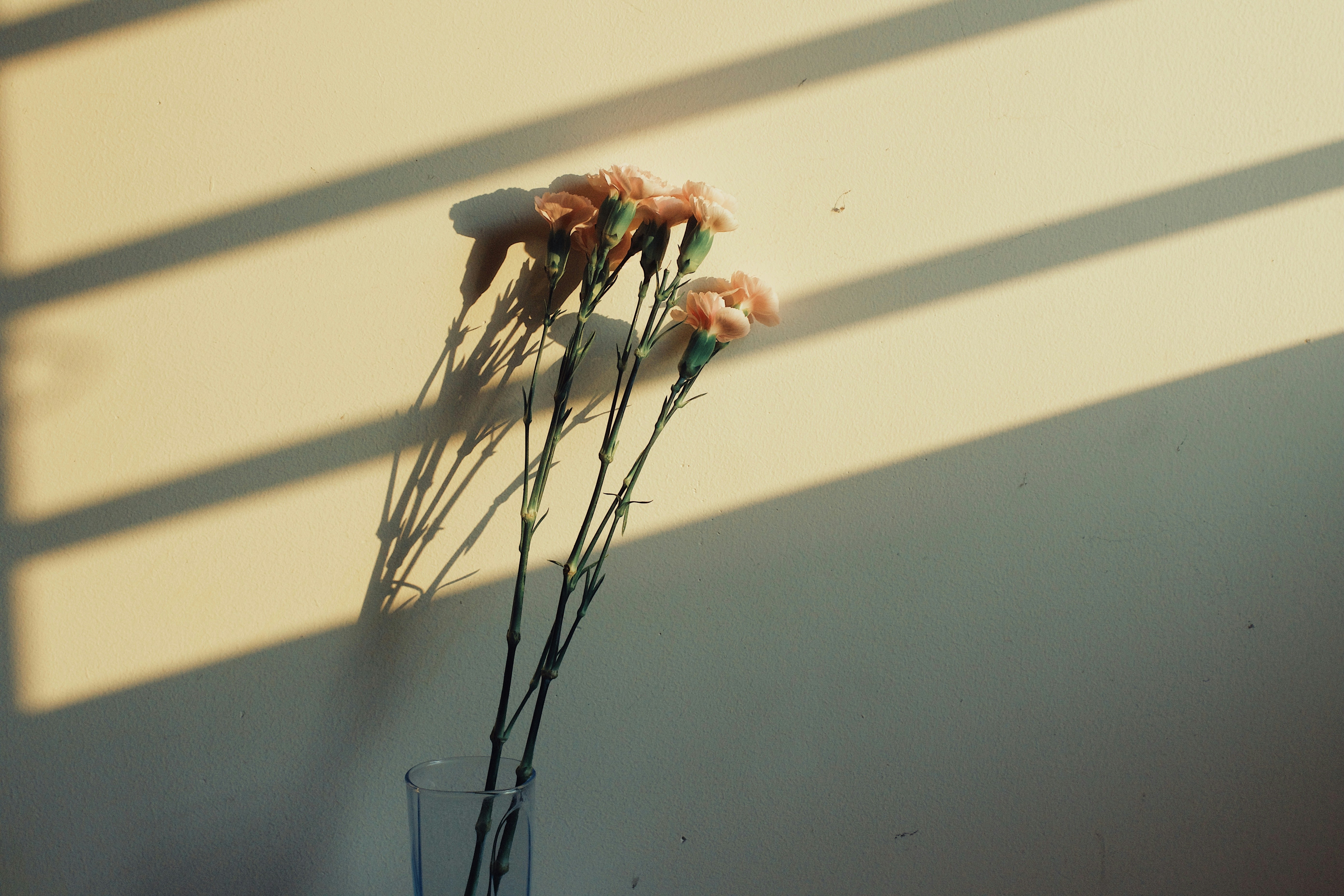 Photo by huuthong