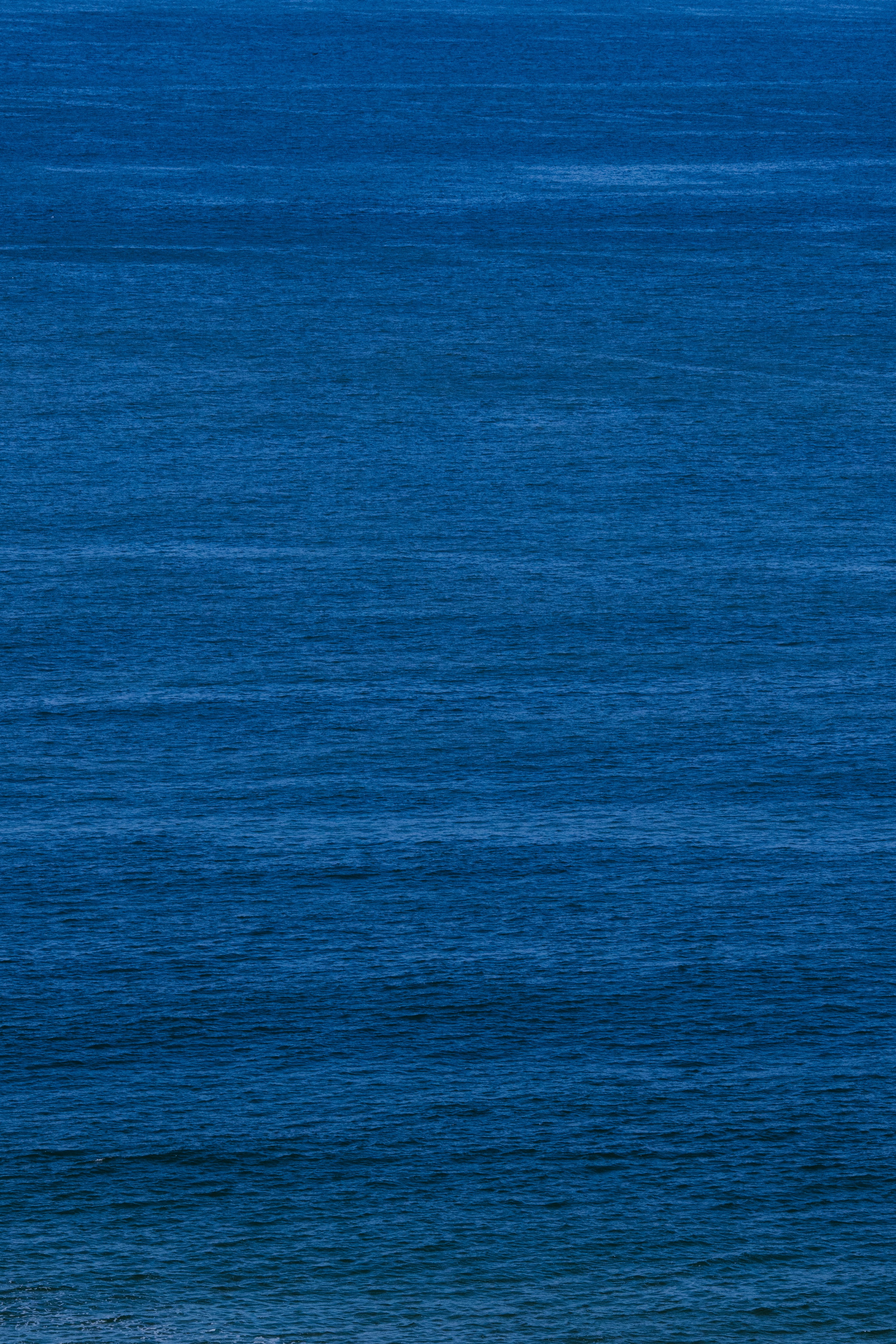 calm blue wallpaper, wallpaper, Sumeng: Penyebab, Gejala, dan Cara Mengatasinya 2