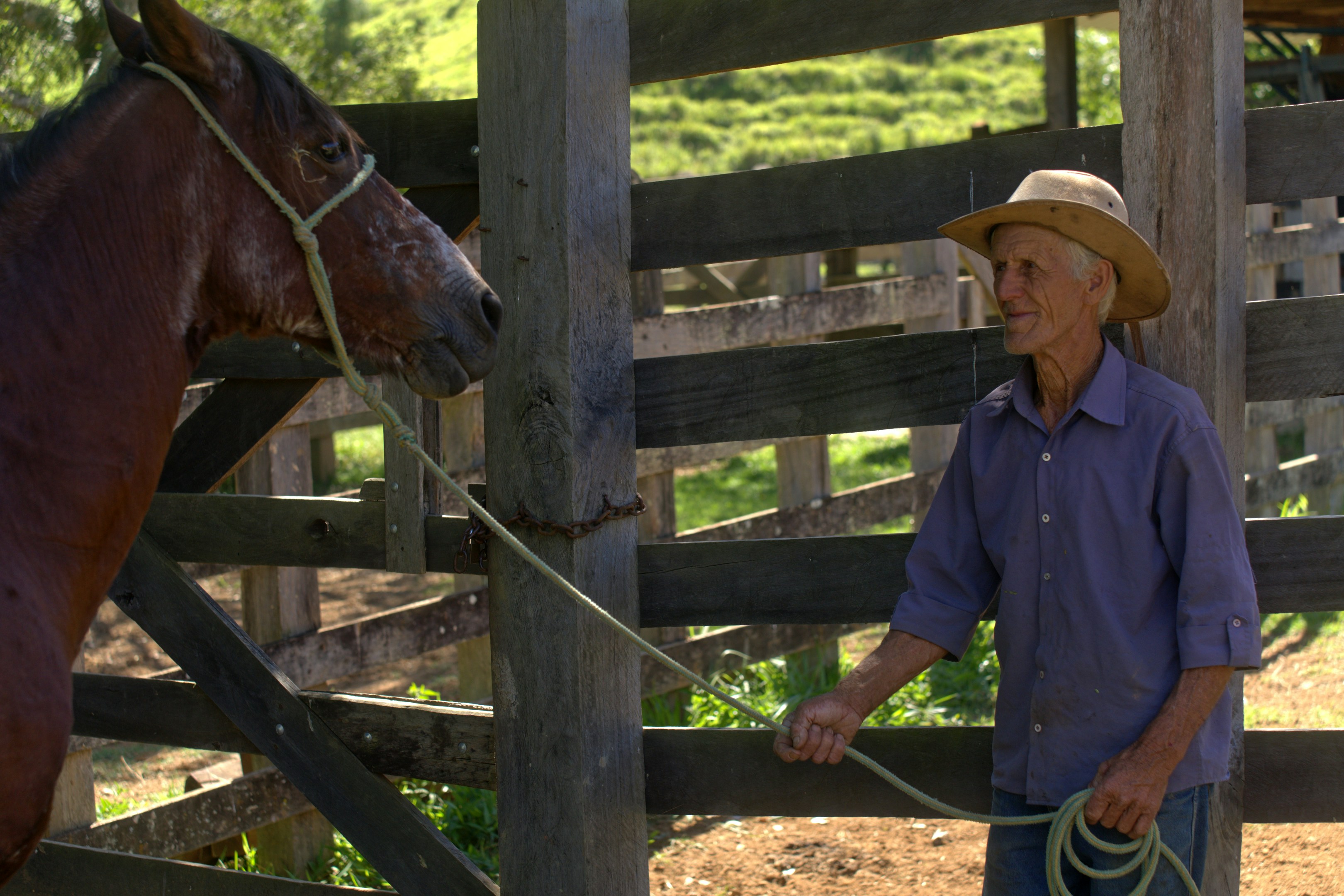 Man in straw hat holding horse by rope