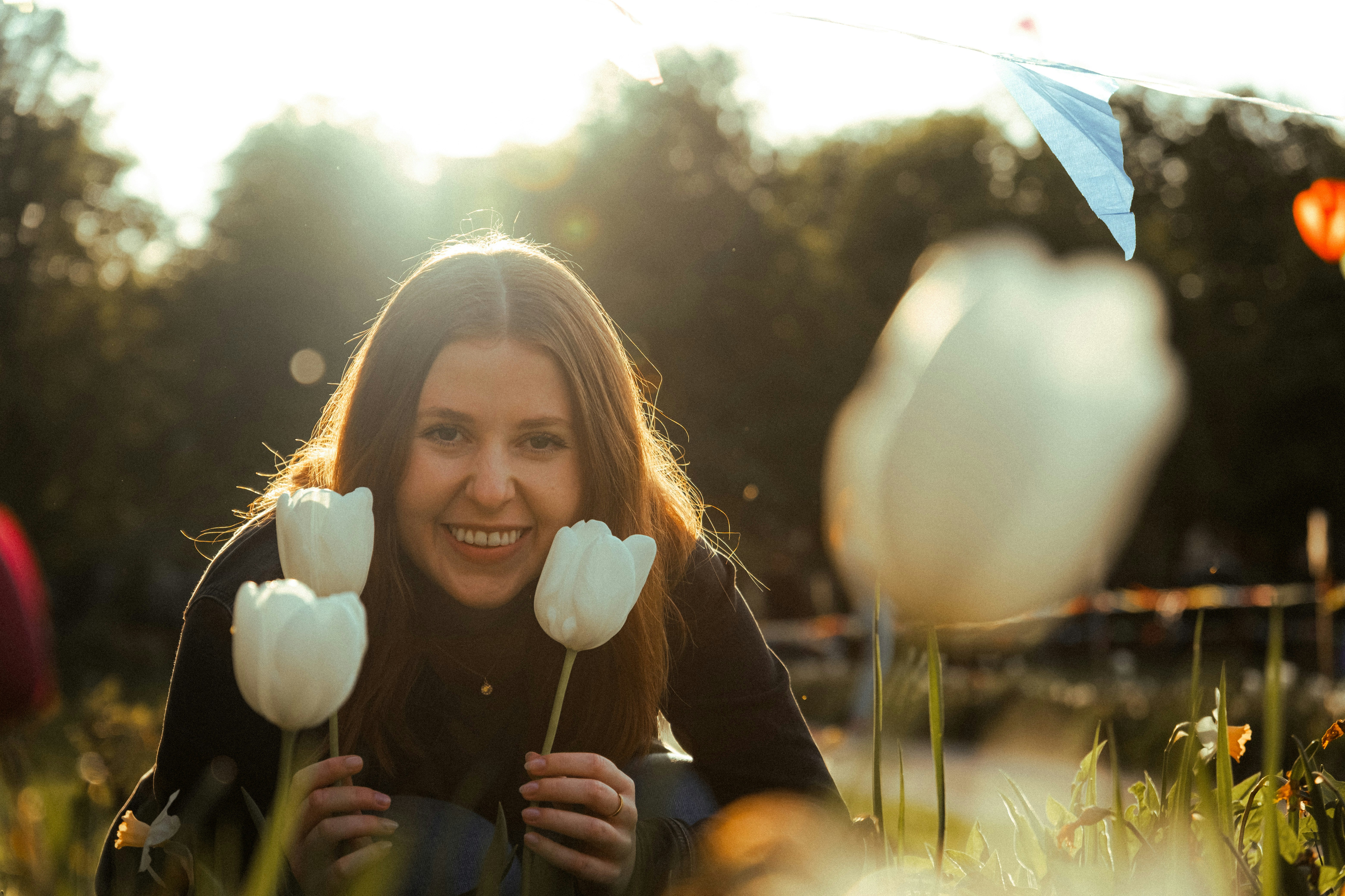 화담숲예약하기 - Woman holding white tulips in a park at sunset