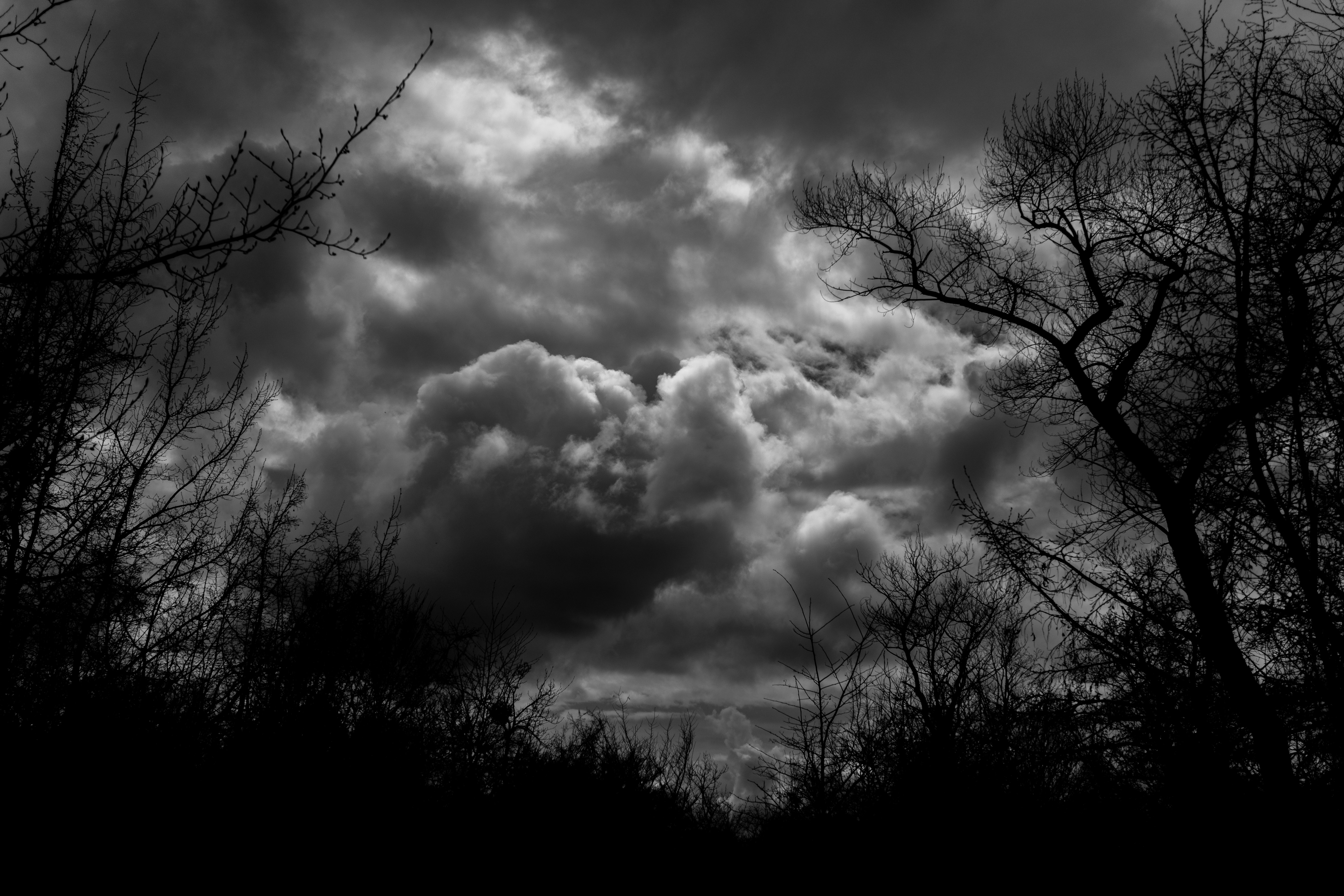 Photo by zulfugarkarimov