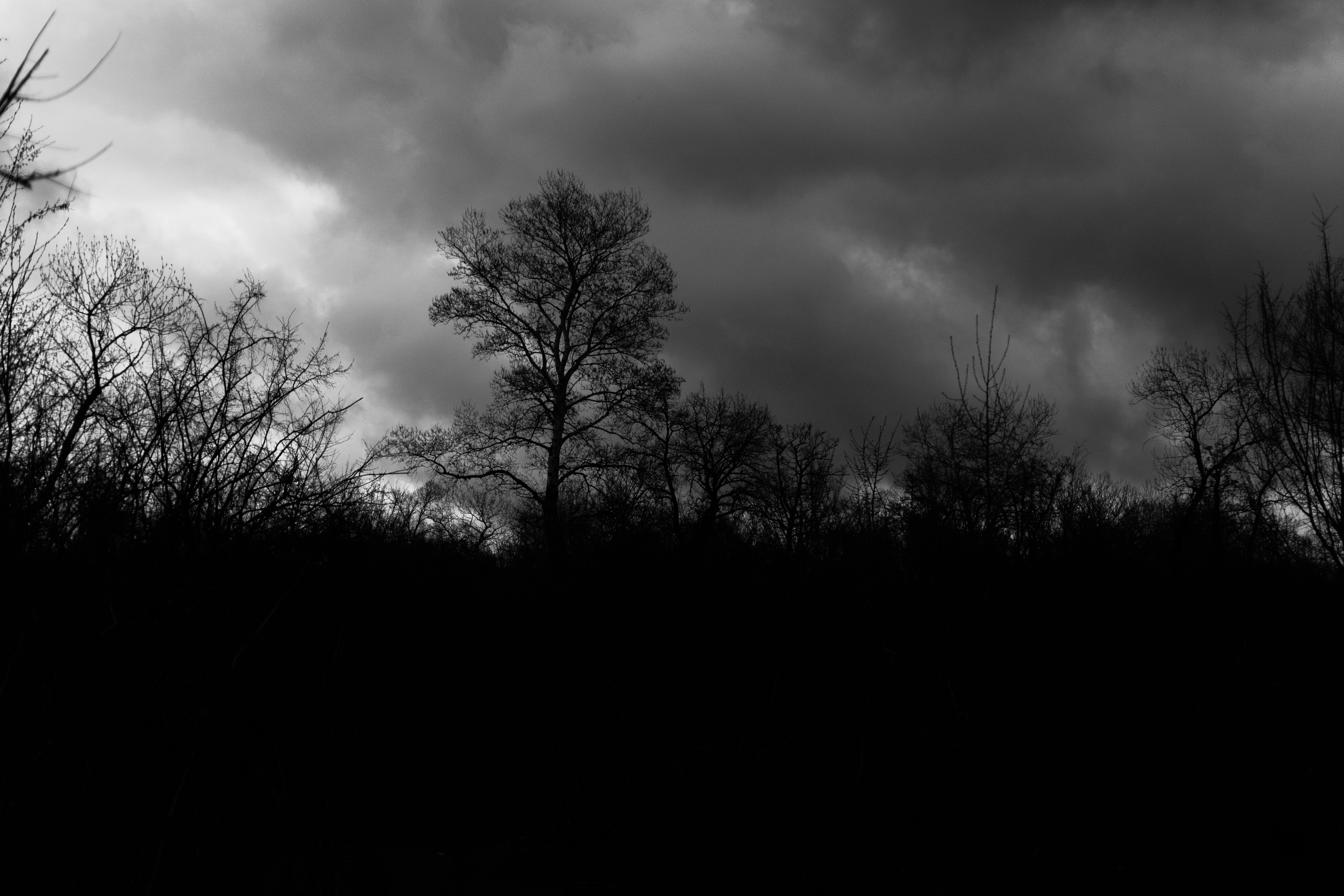 Photo by zulfugarkarimov