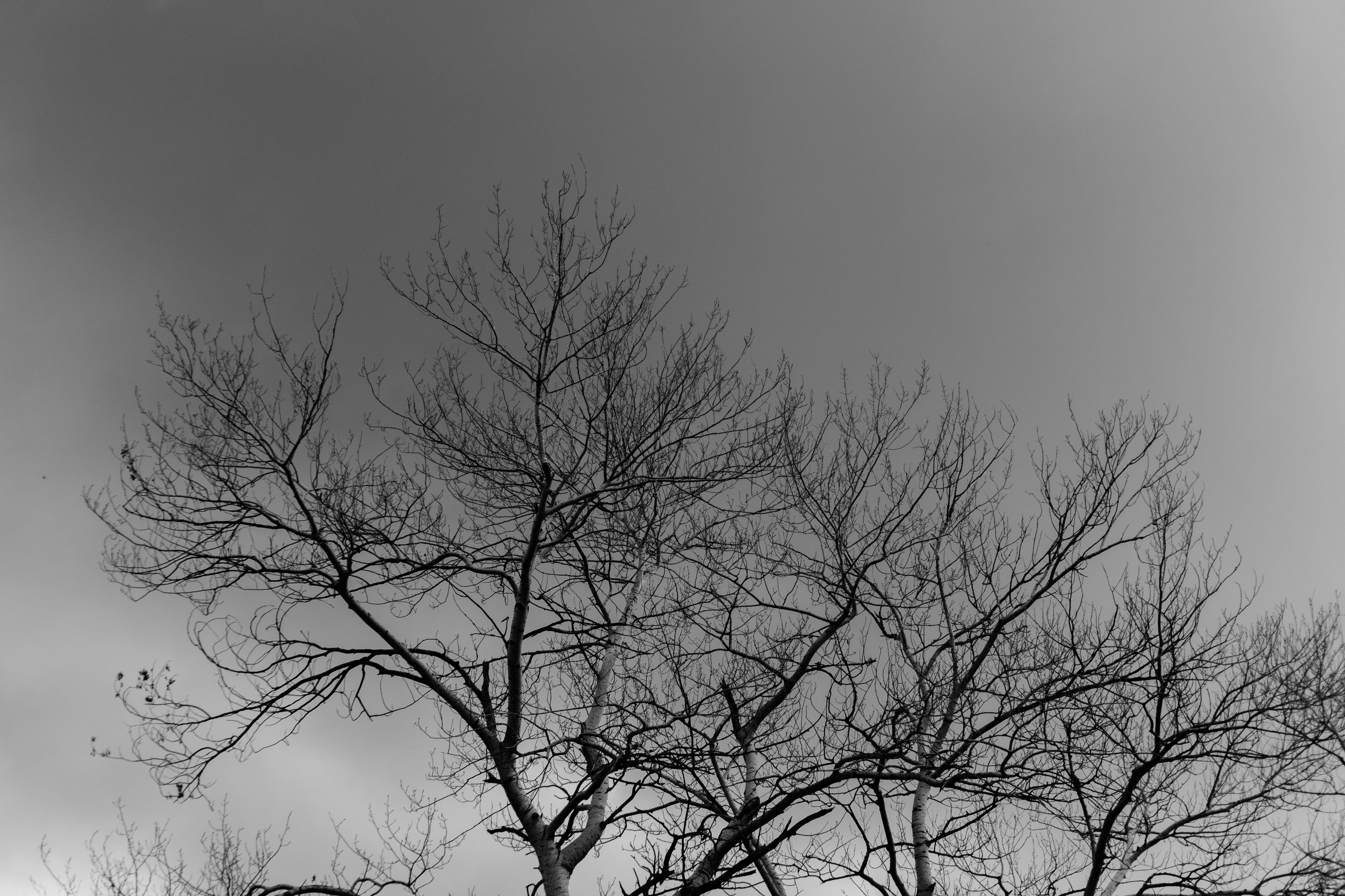 Photo by zulfugarkarimov