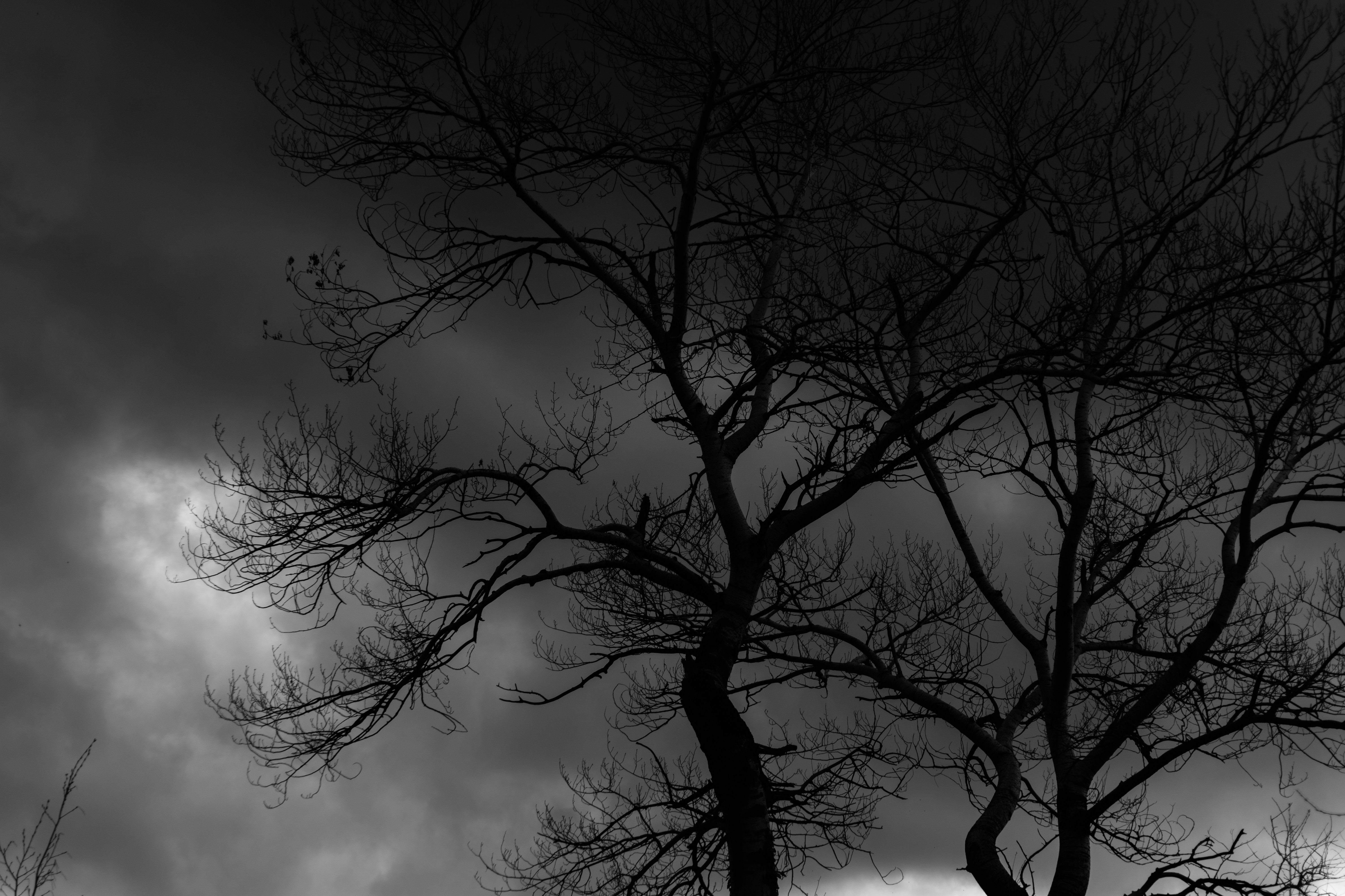 Photo by zulfugarkarimov