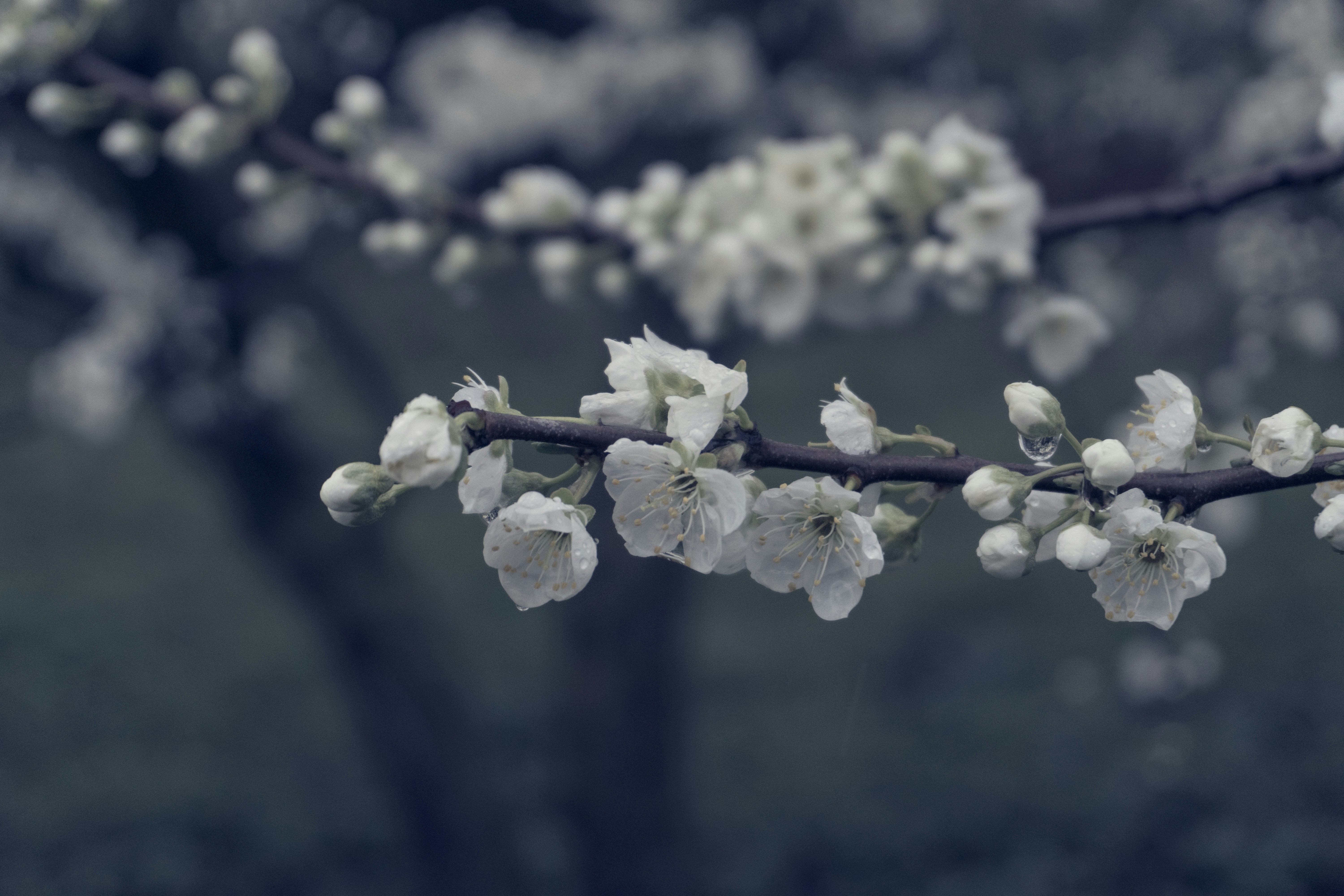 Photo by zulfugarkarimov