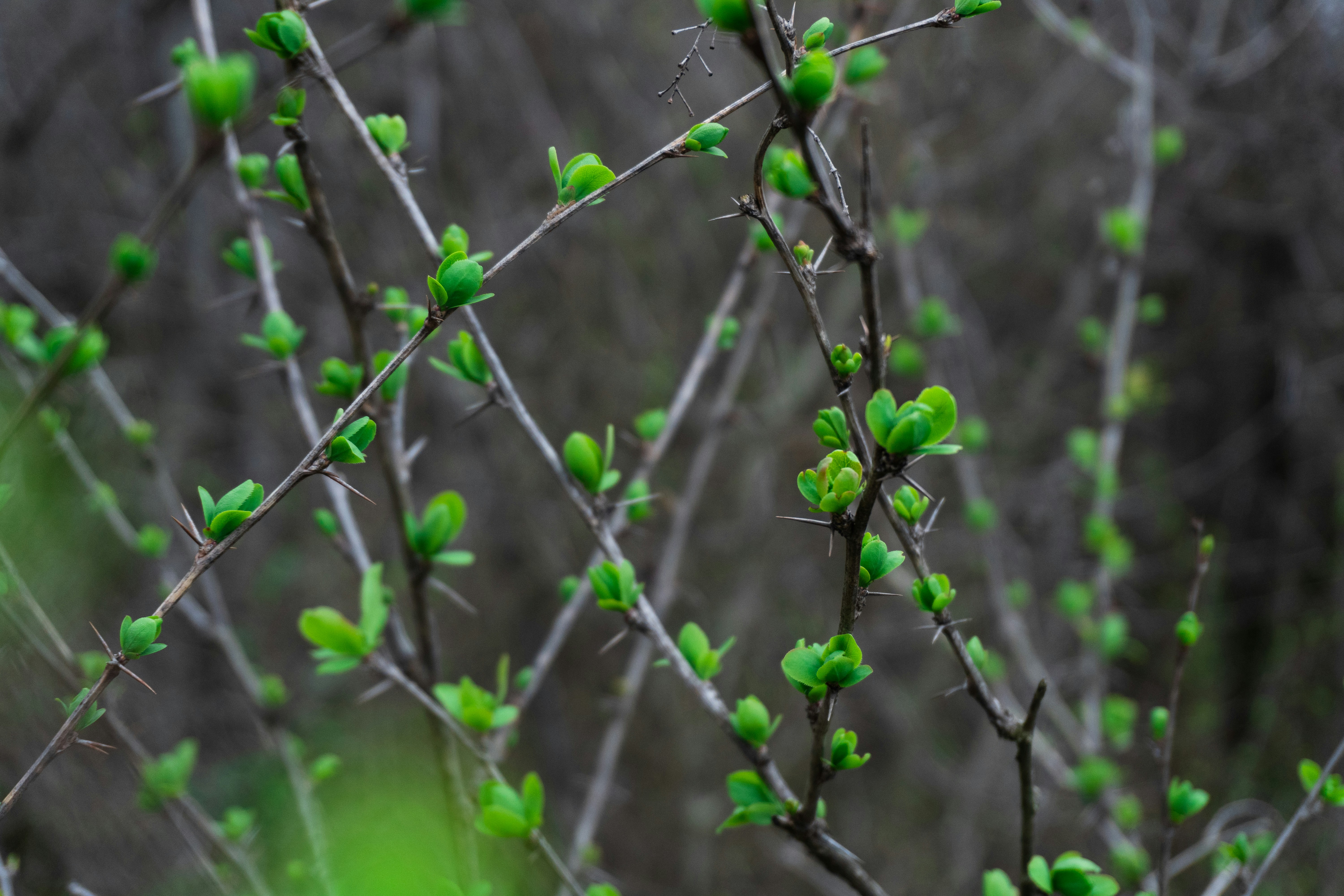 Photo by zulfugarkarimov