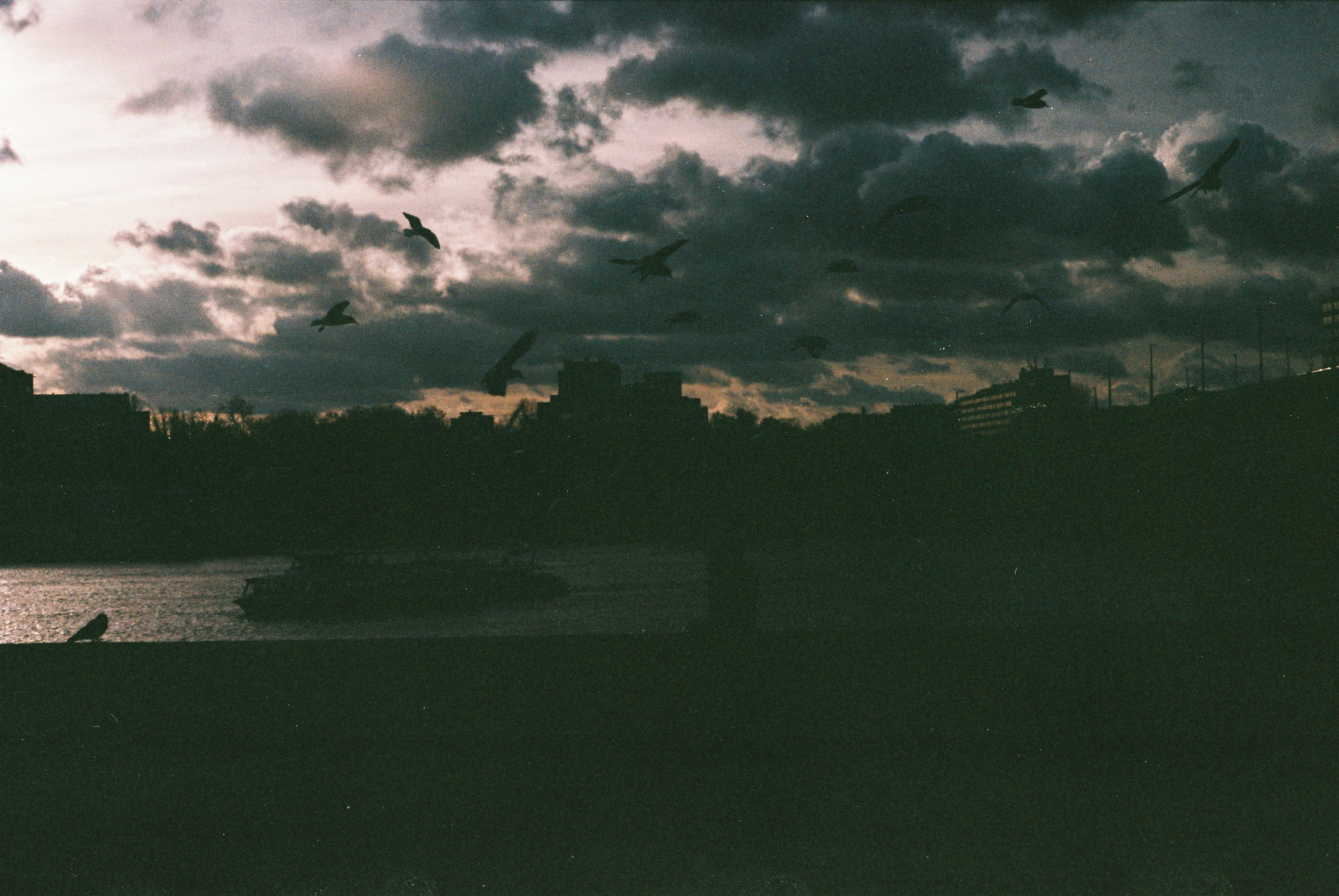 Photo by szabolcsantal
