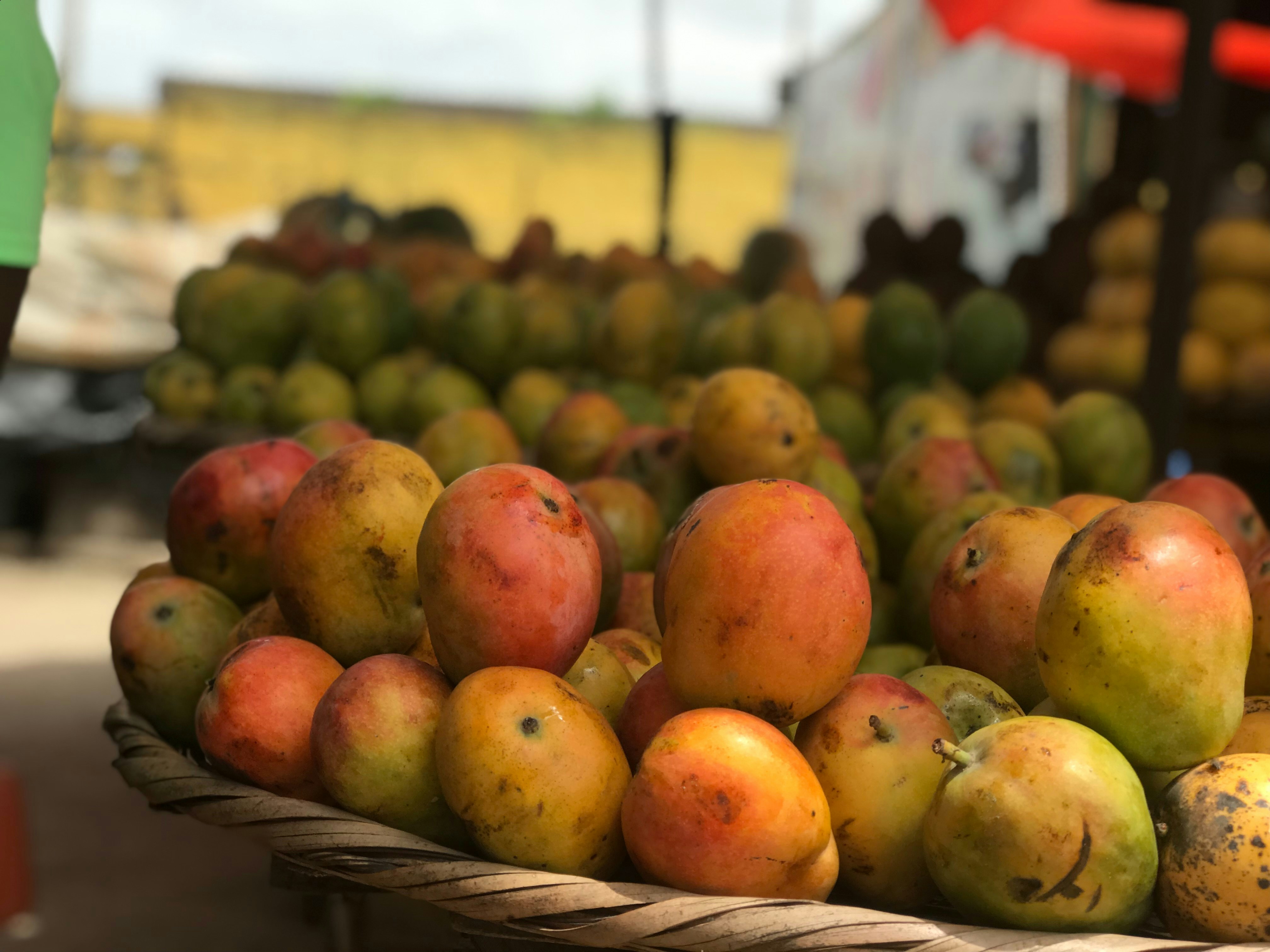 fresh mangoes