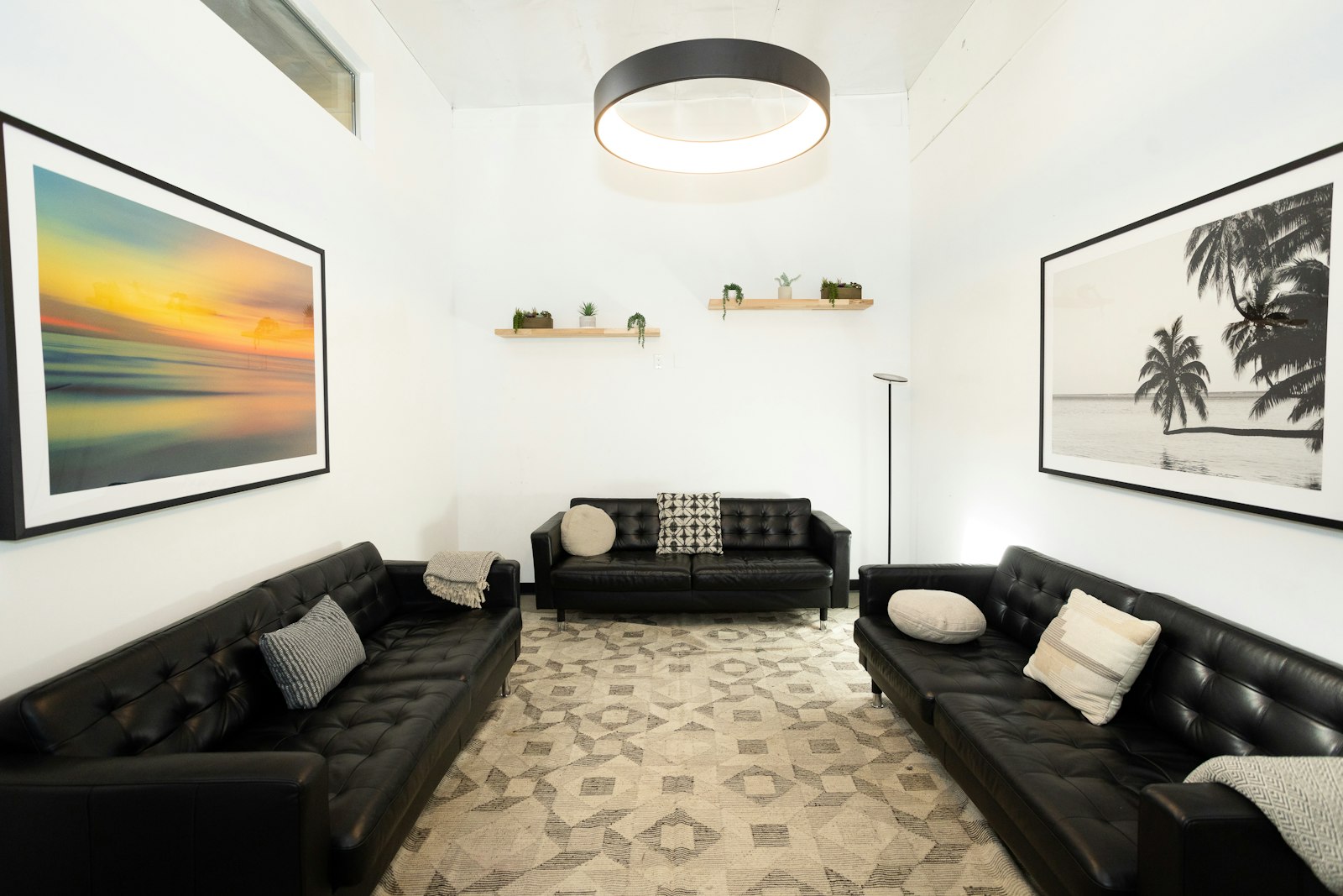 Contemporary therapy lounge with black sofas, plant shelves, and landscape art prints