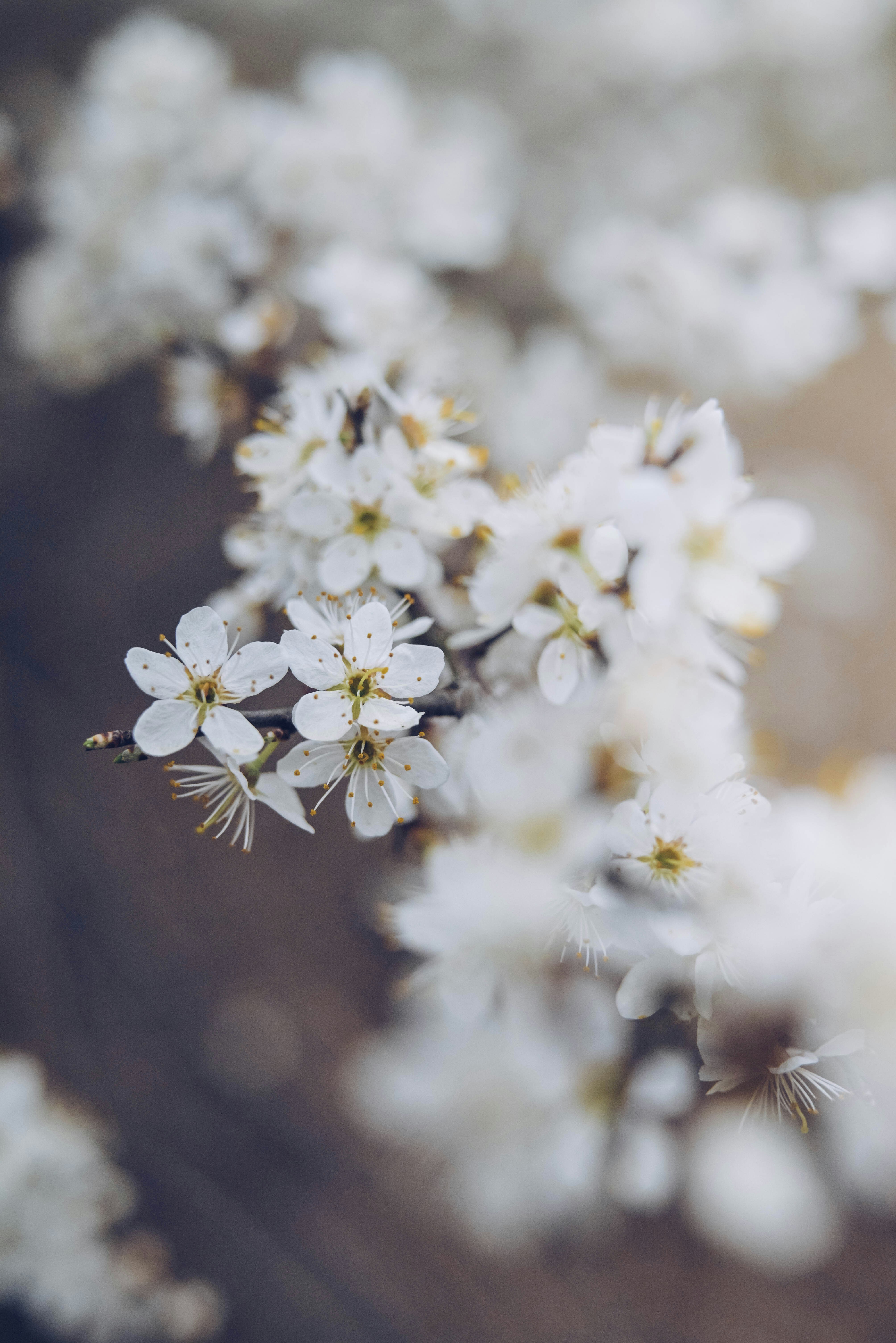 Photo by greenmood