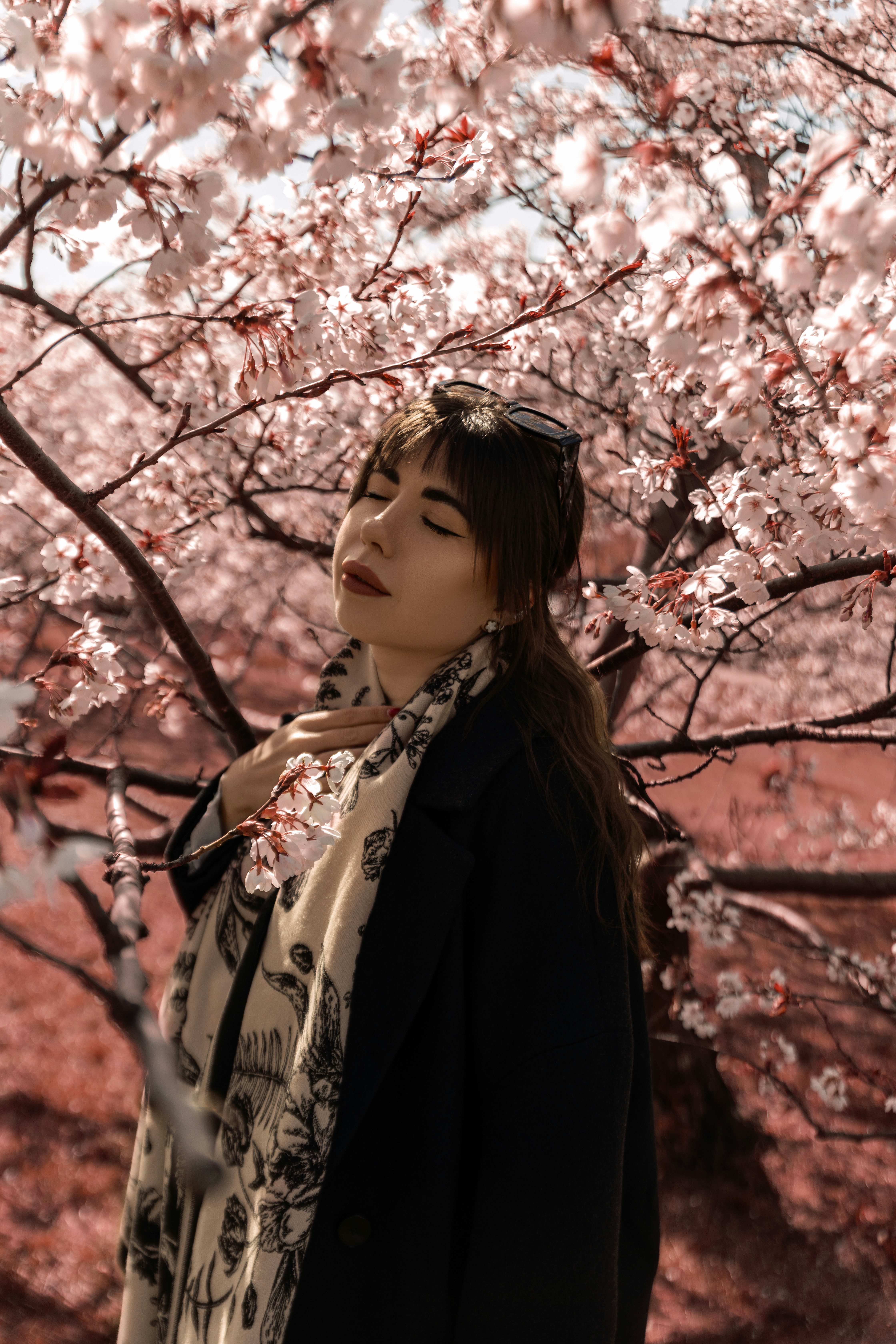 Woman enjoying cherry blossoms in spring