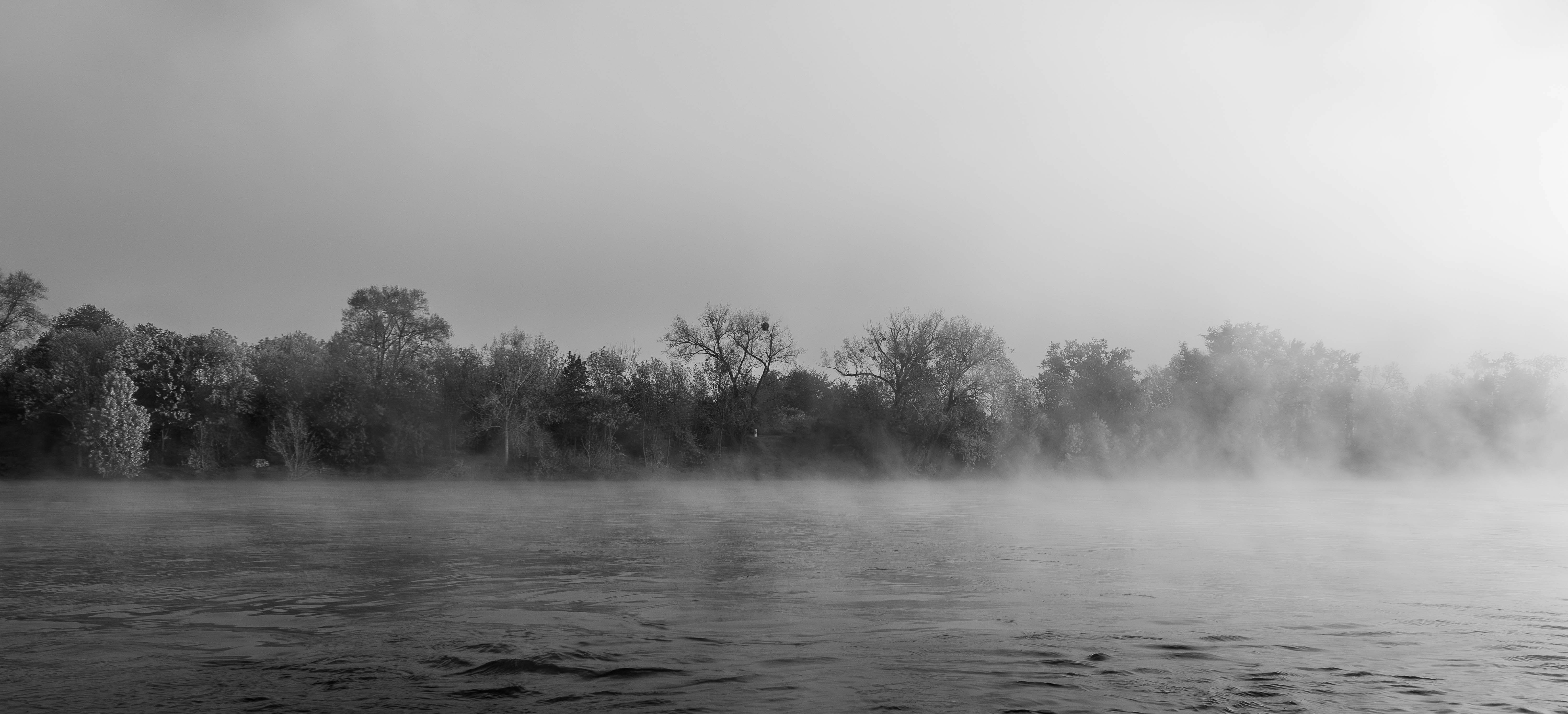 calm nature morning mist, wallpaper, Importance Of Patience During The Healing Journey: A Guide 4