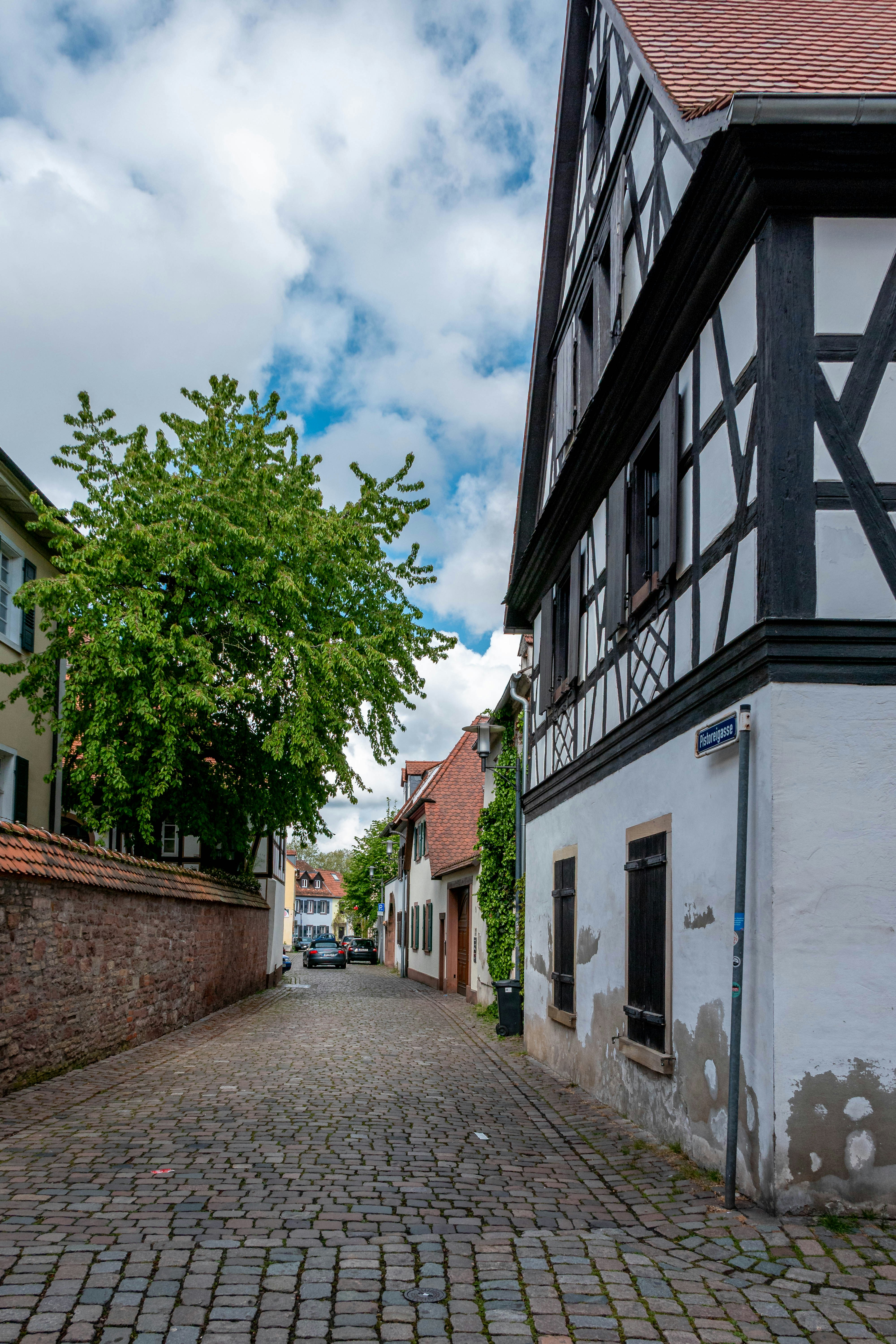 Cobblestone street lined with historic buildings and trees