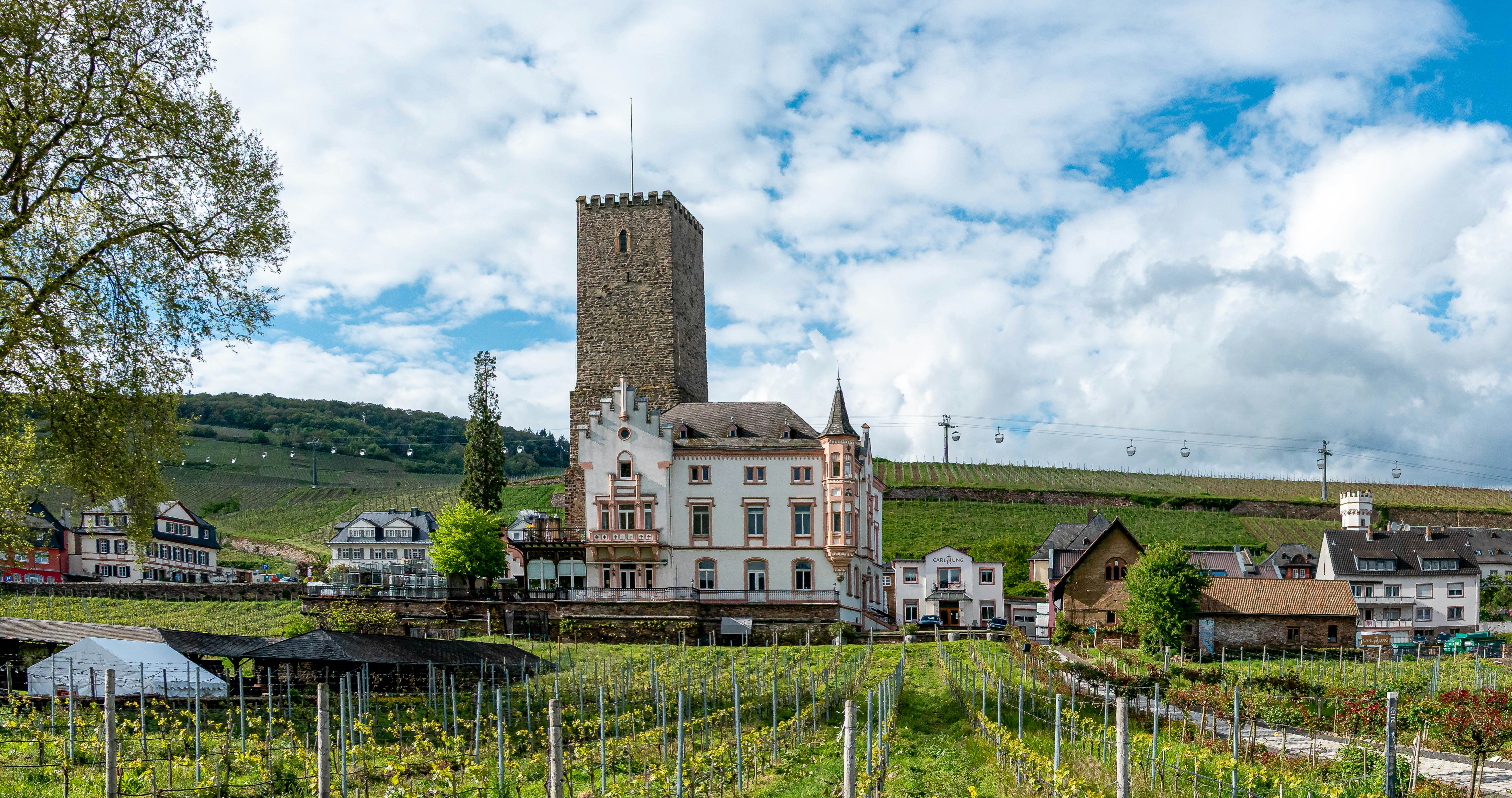 Castle with vineyards and rolling hills under cloudy sky