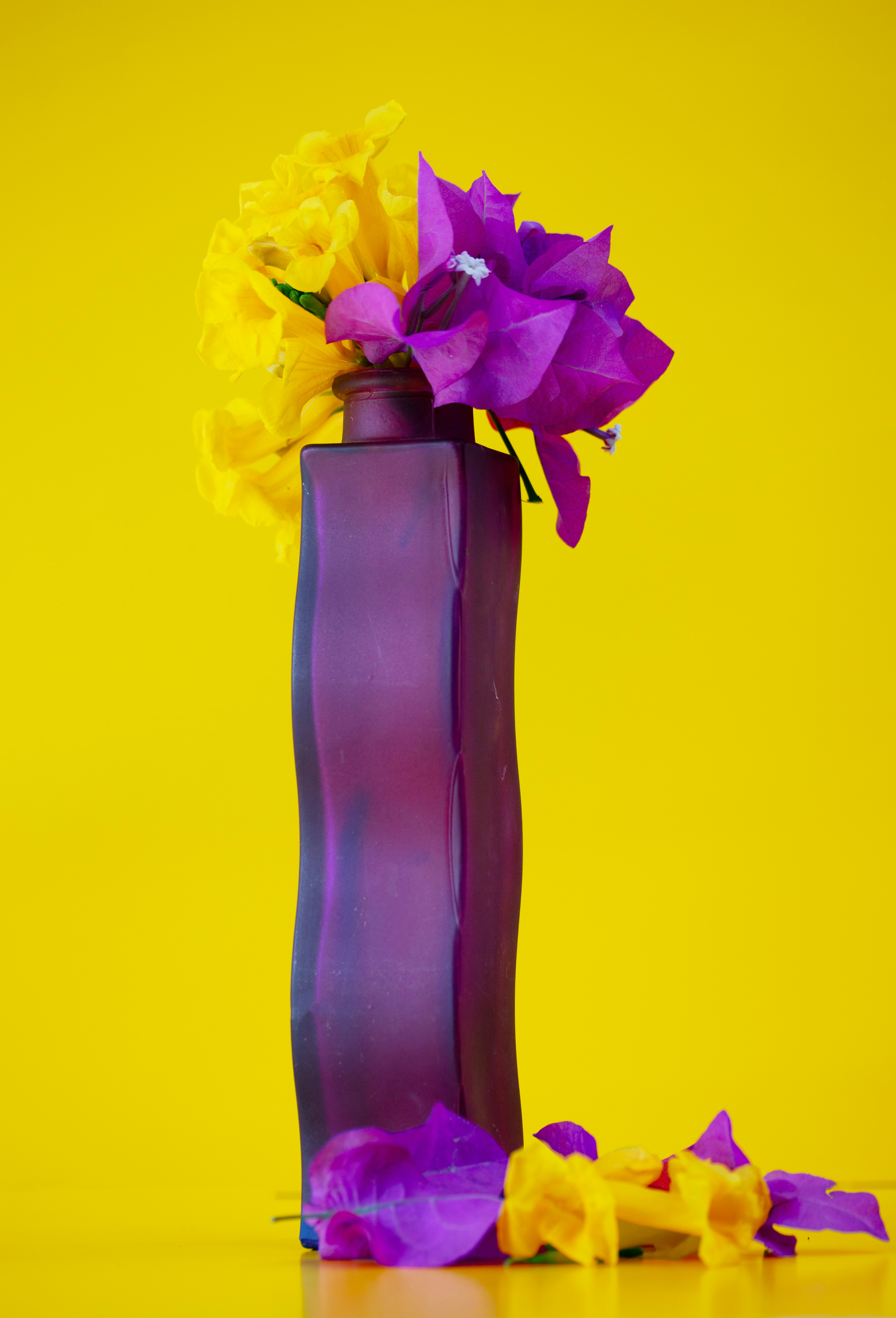 Vaso roxo com flores amarelas e roxas sobre fundo amarelo
