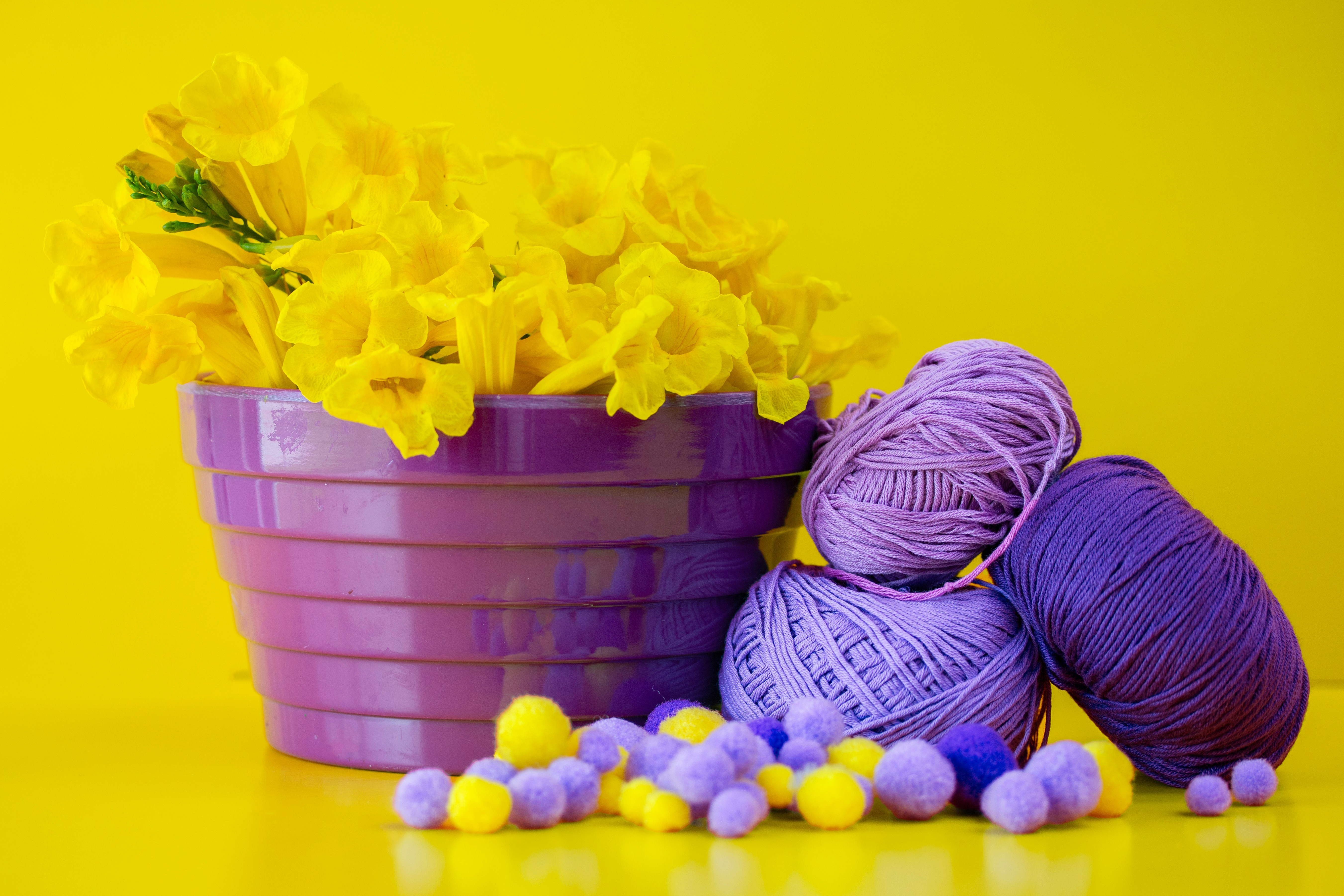 Vaso roxo com flores amarelas e fio.