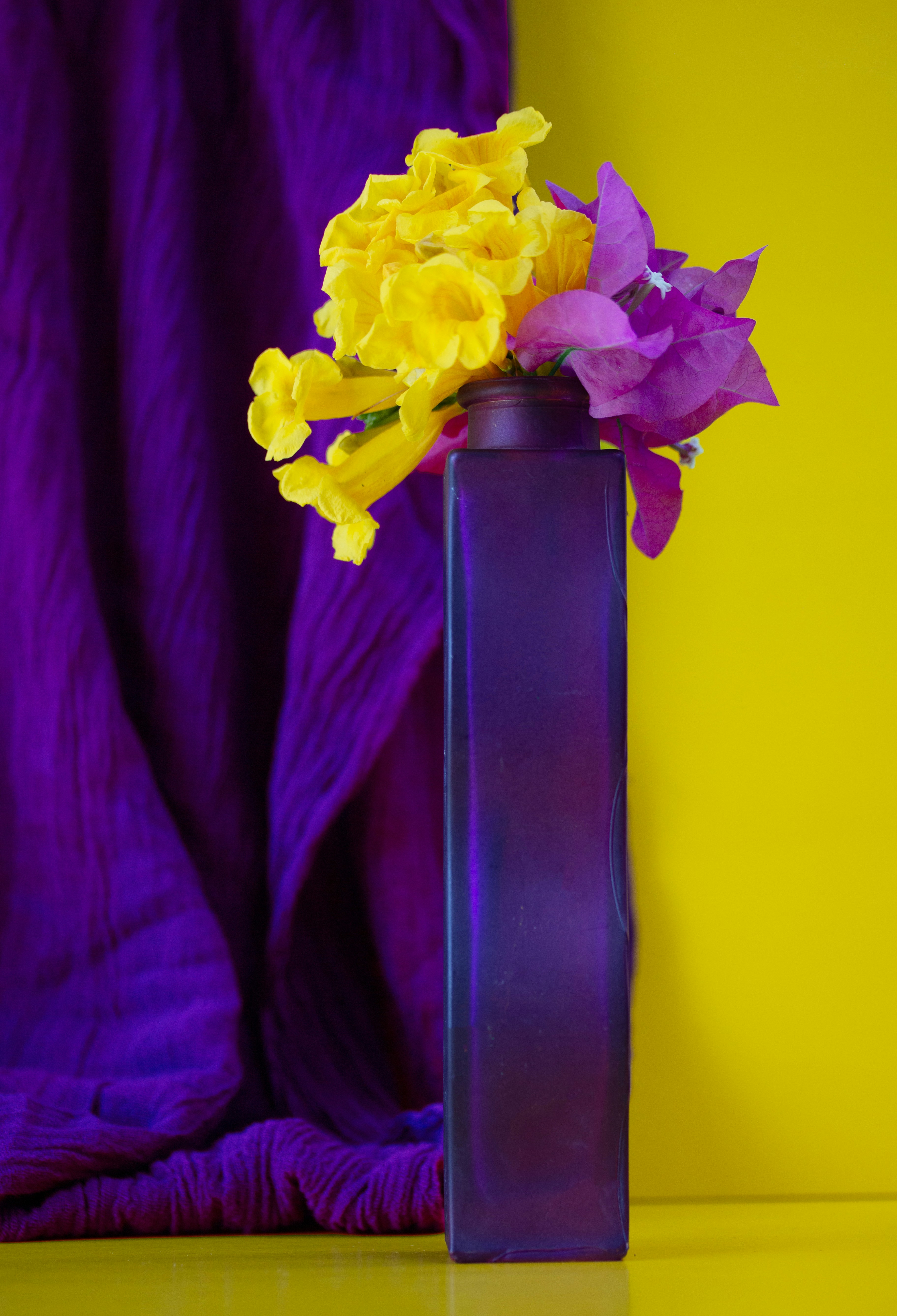 Vaso roxo com flores amarelas e roxas