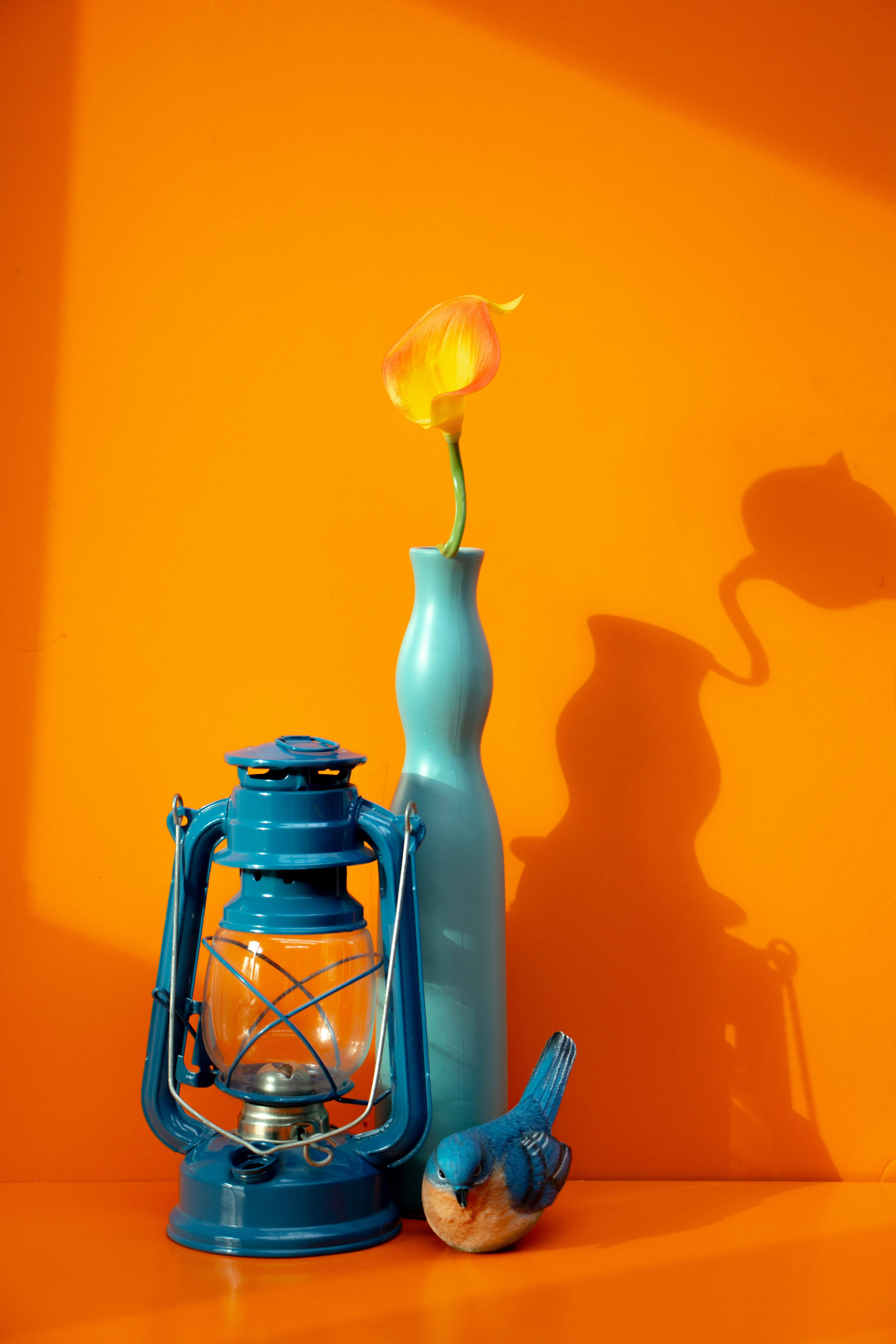 Lanterna azul, vaso com flor e pássaro sobre fundo laranja