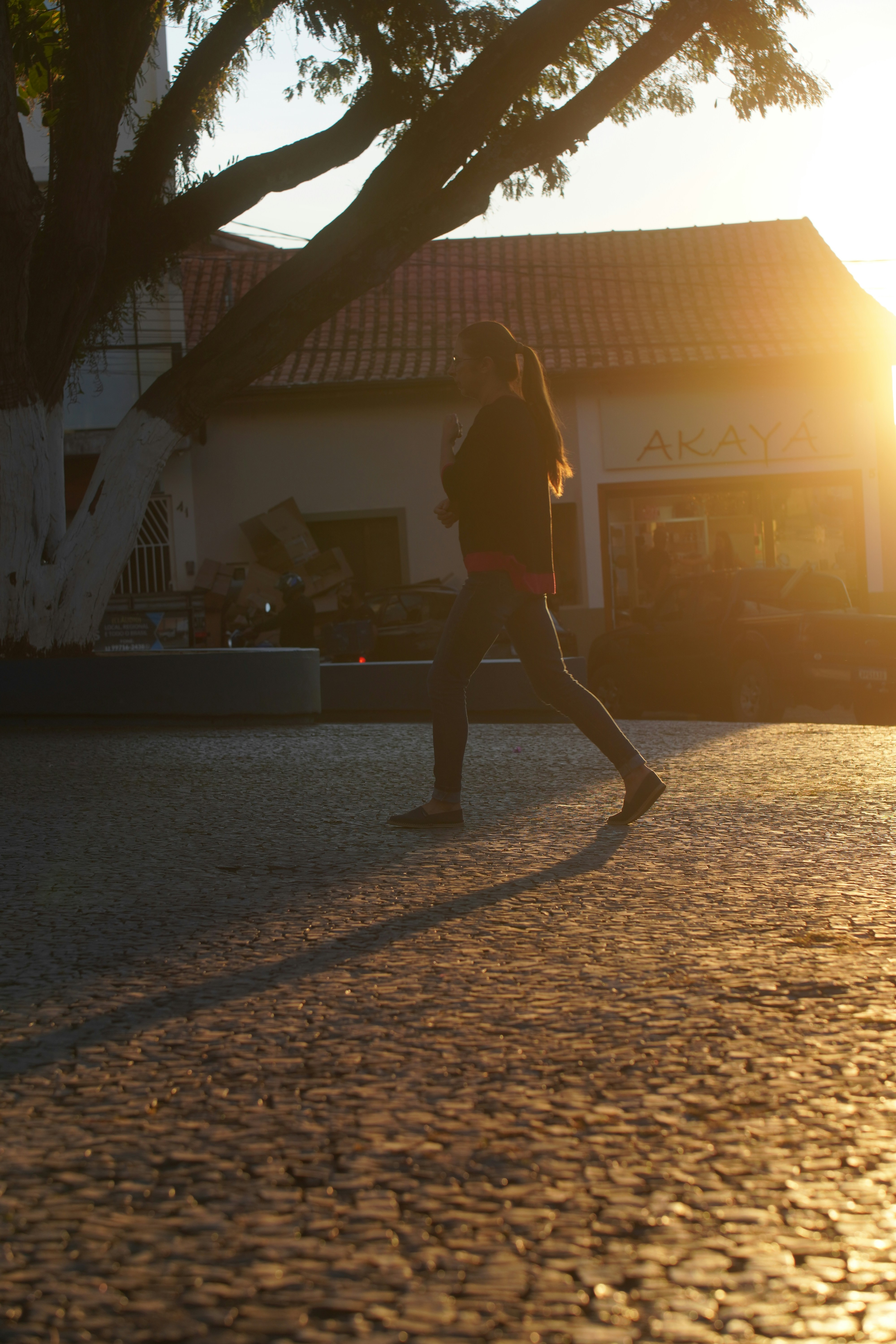 A person walking during a golden sunset