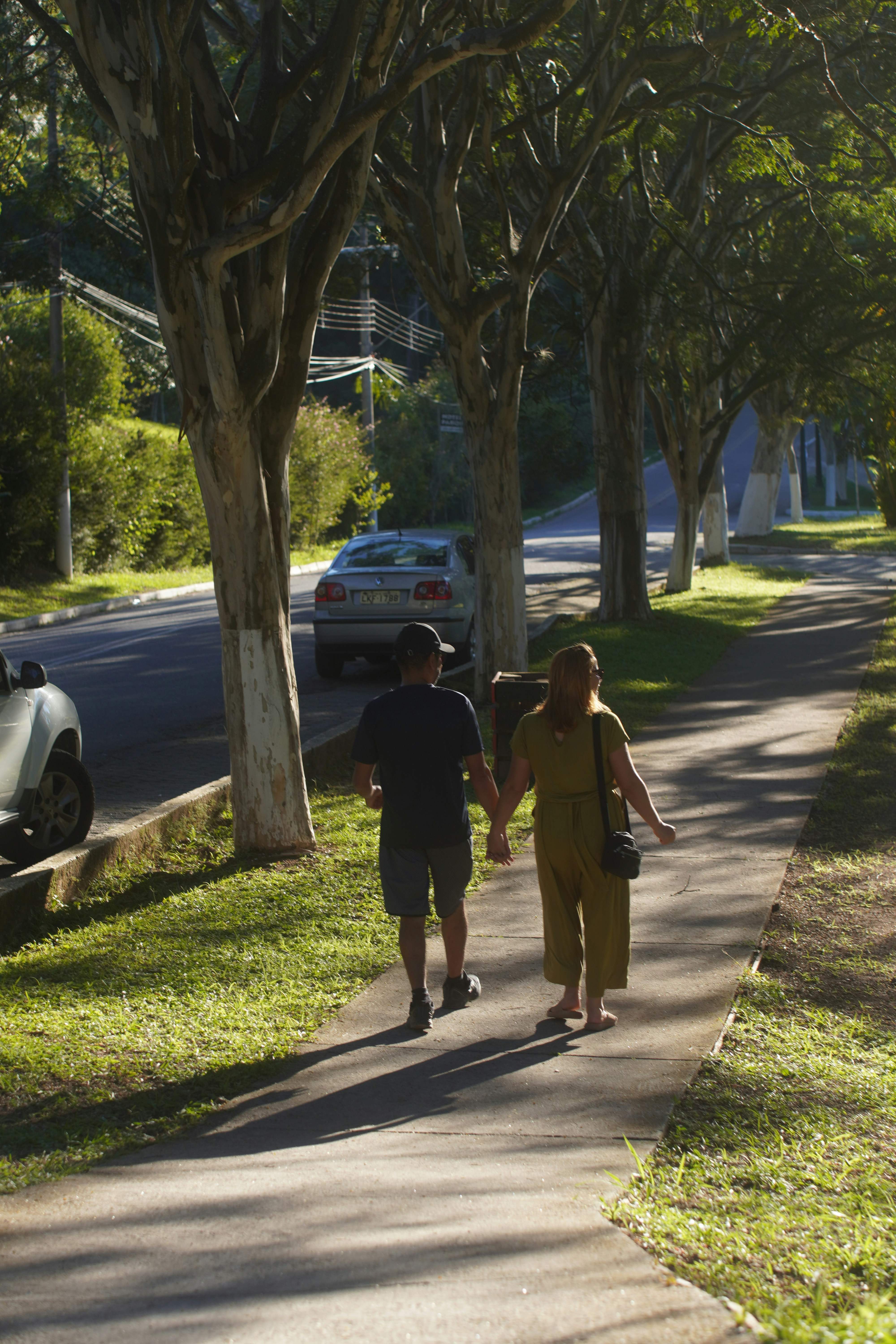 Couple holding hands walking down a tree-lined sidewalk.