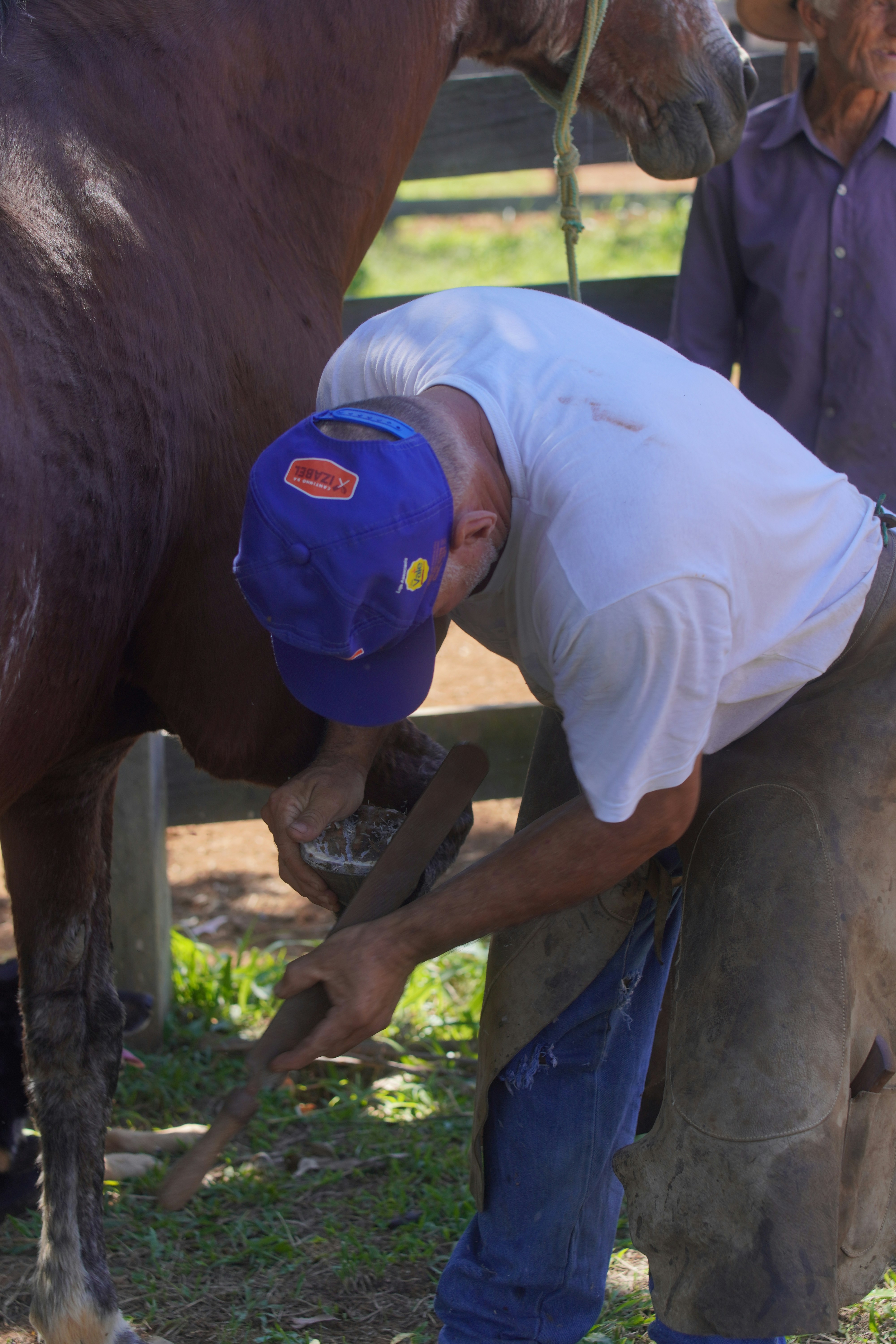 Farrier working on a horse's hoof outdoors