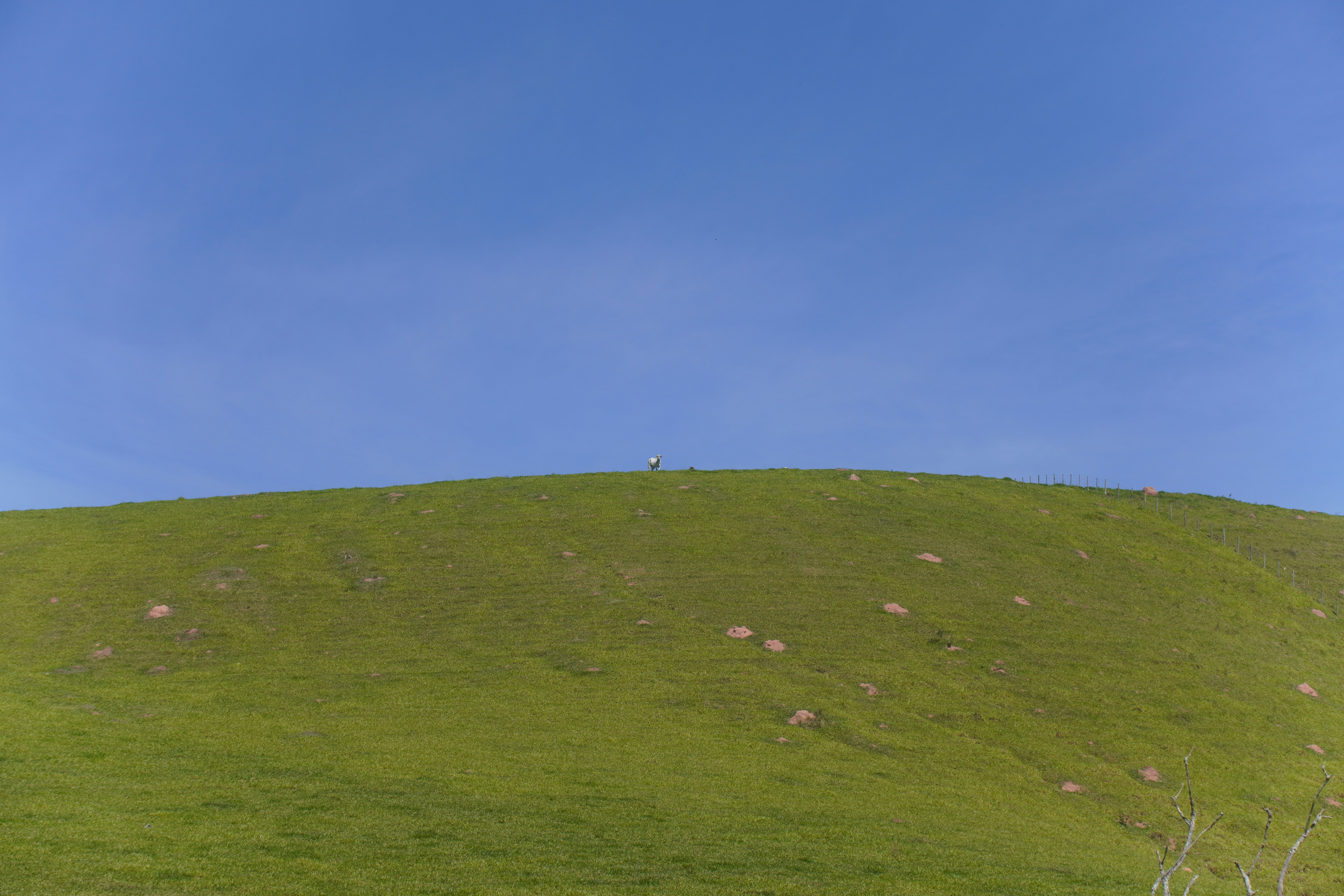 Green hill under a clear blue sky