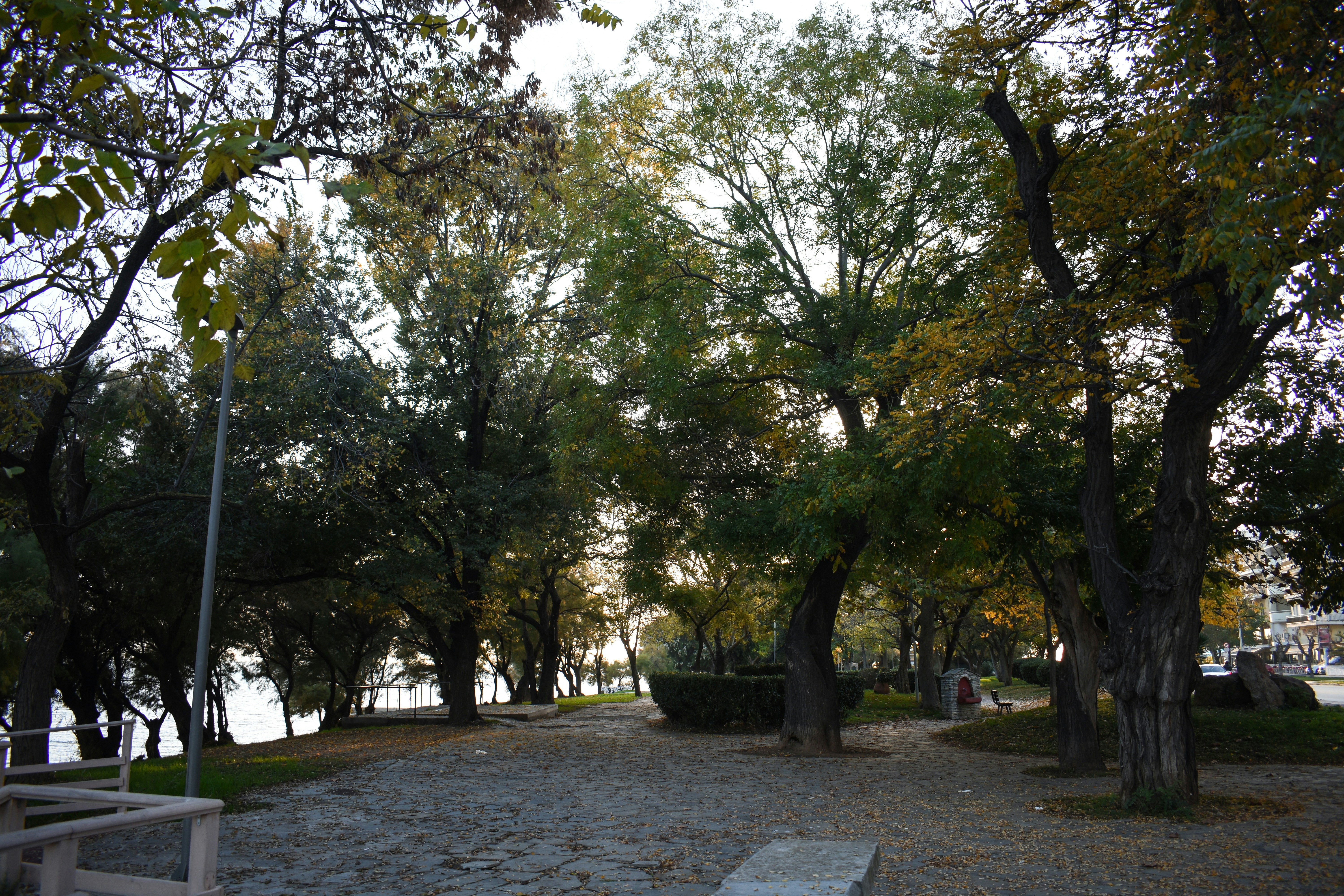 Photo by vikhkassou98