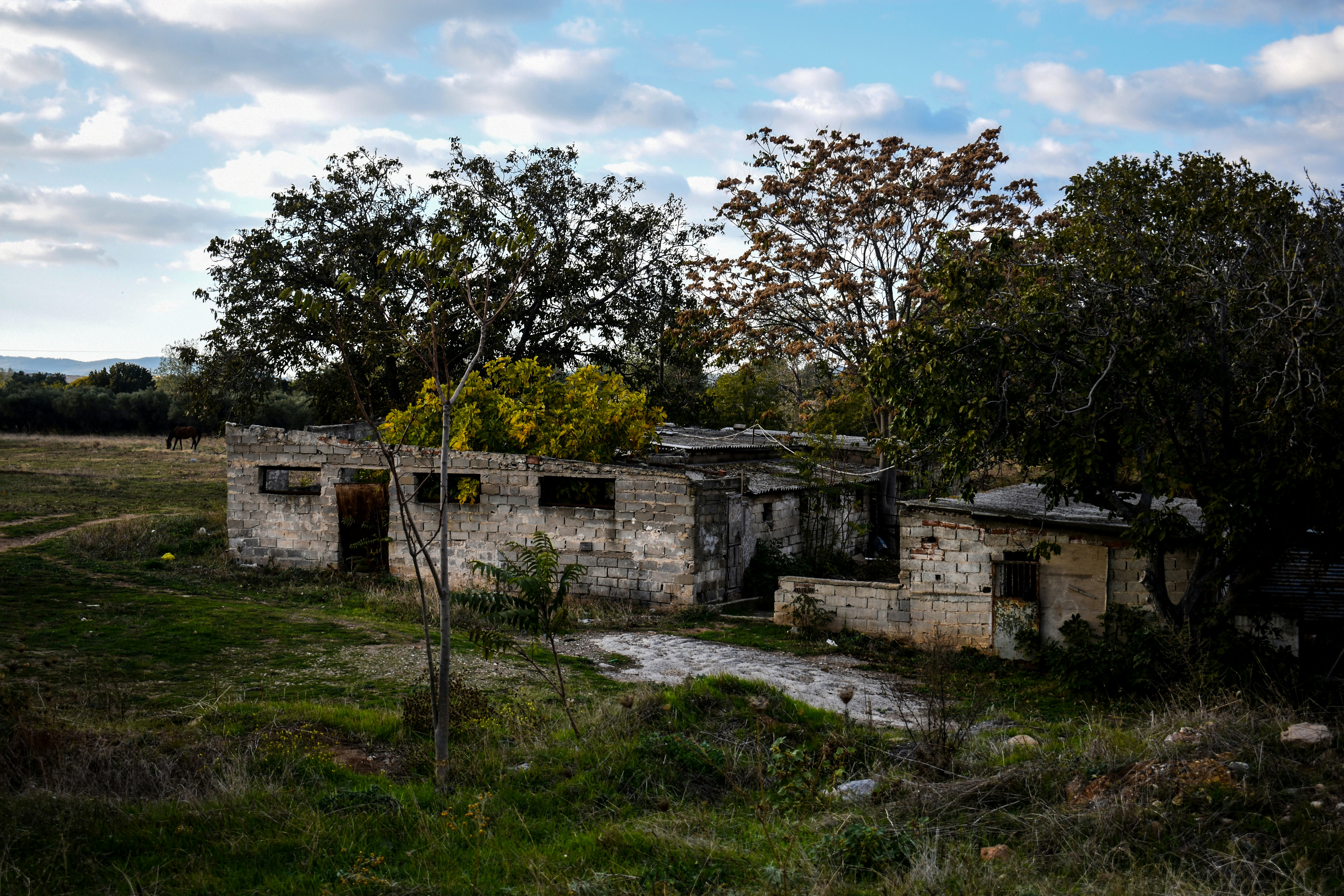 Photo by vikhkassou98