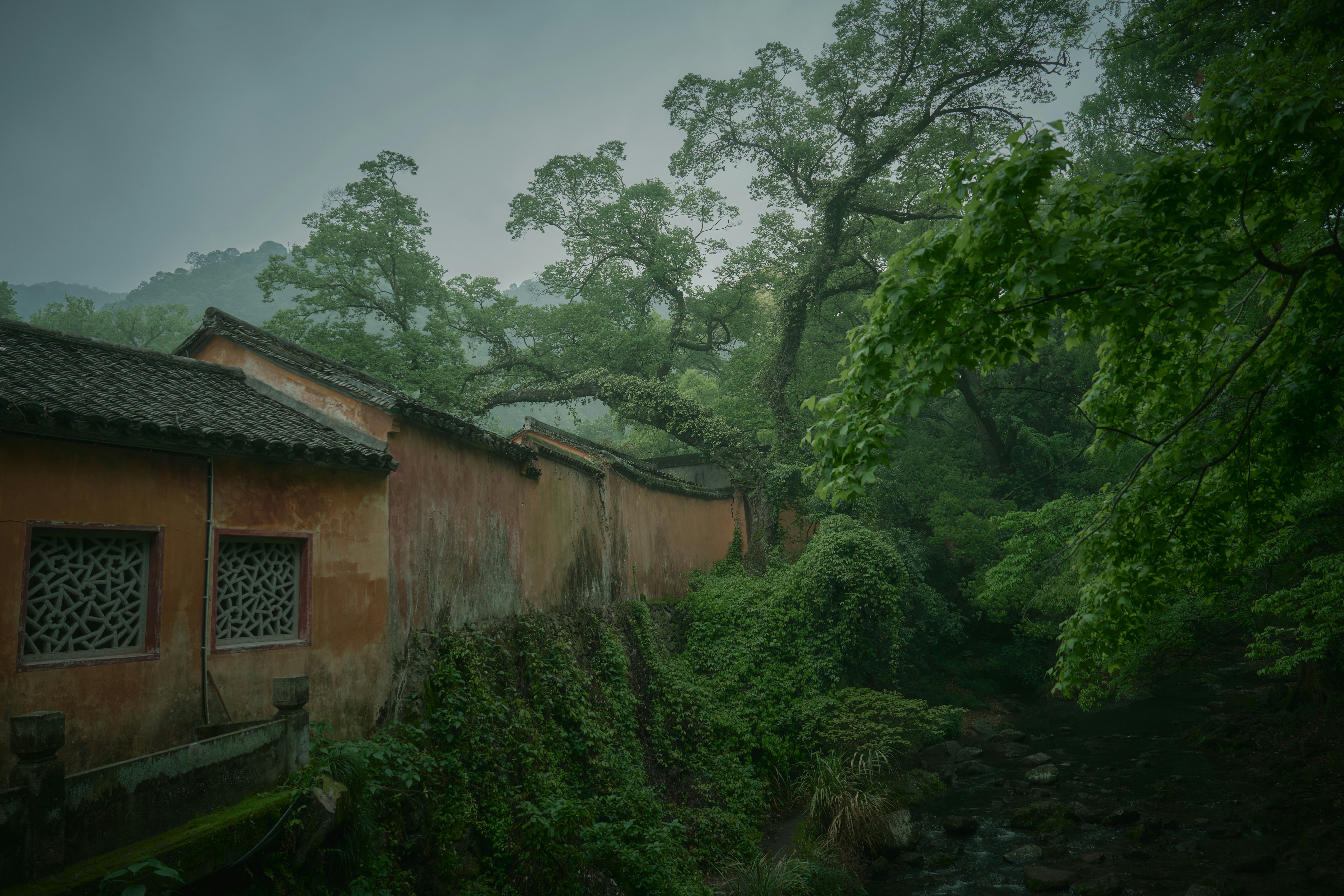 Photo by seelean