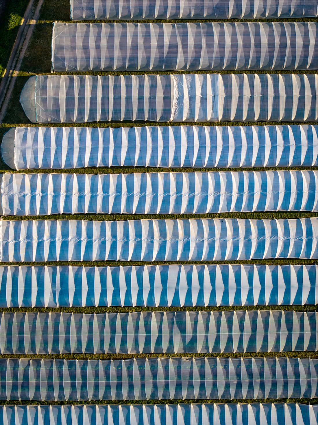 Aerial view of greenhouse farming infrastructure