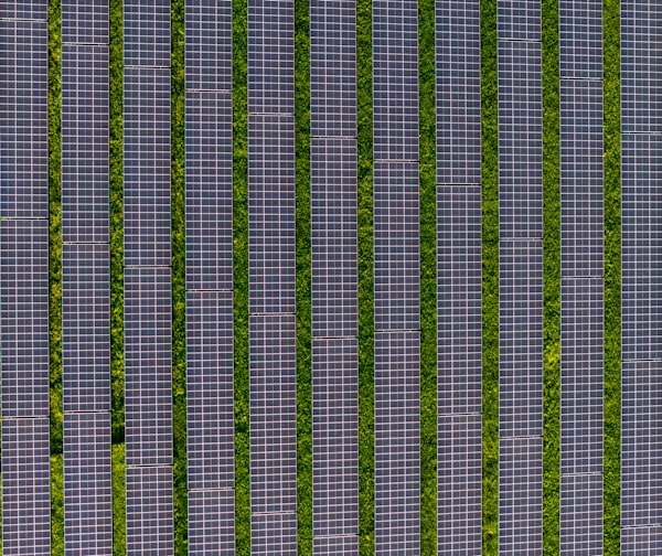 Aerial solar farm with green grass rows