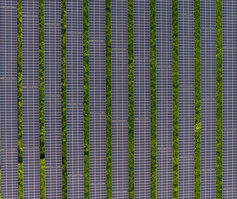 Aerial view of solar panels across green rows