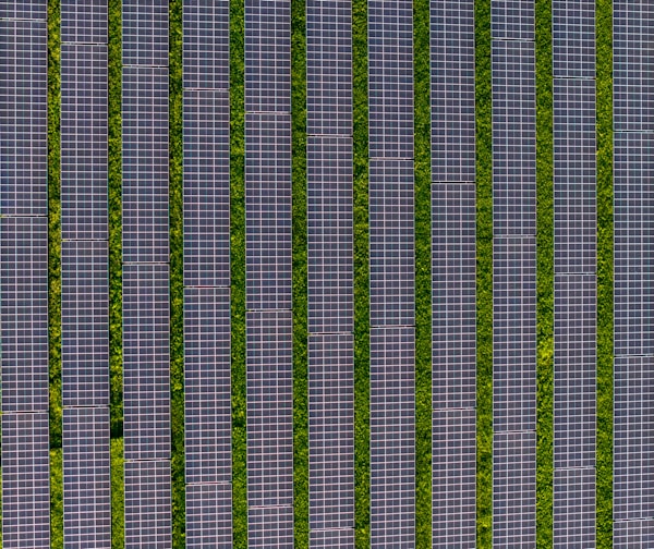 Solar Farm