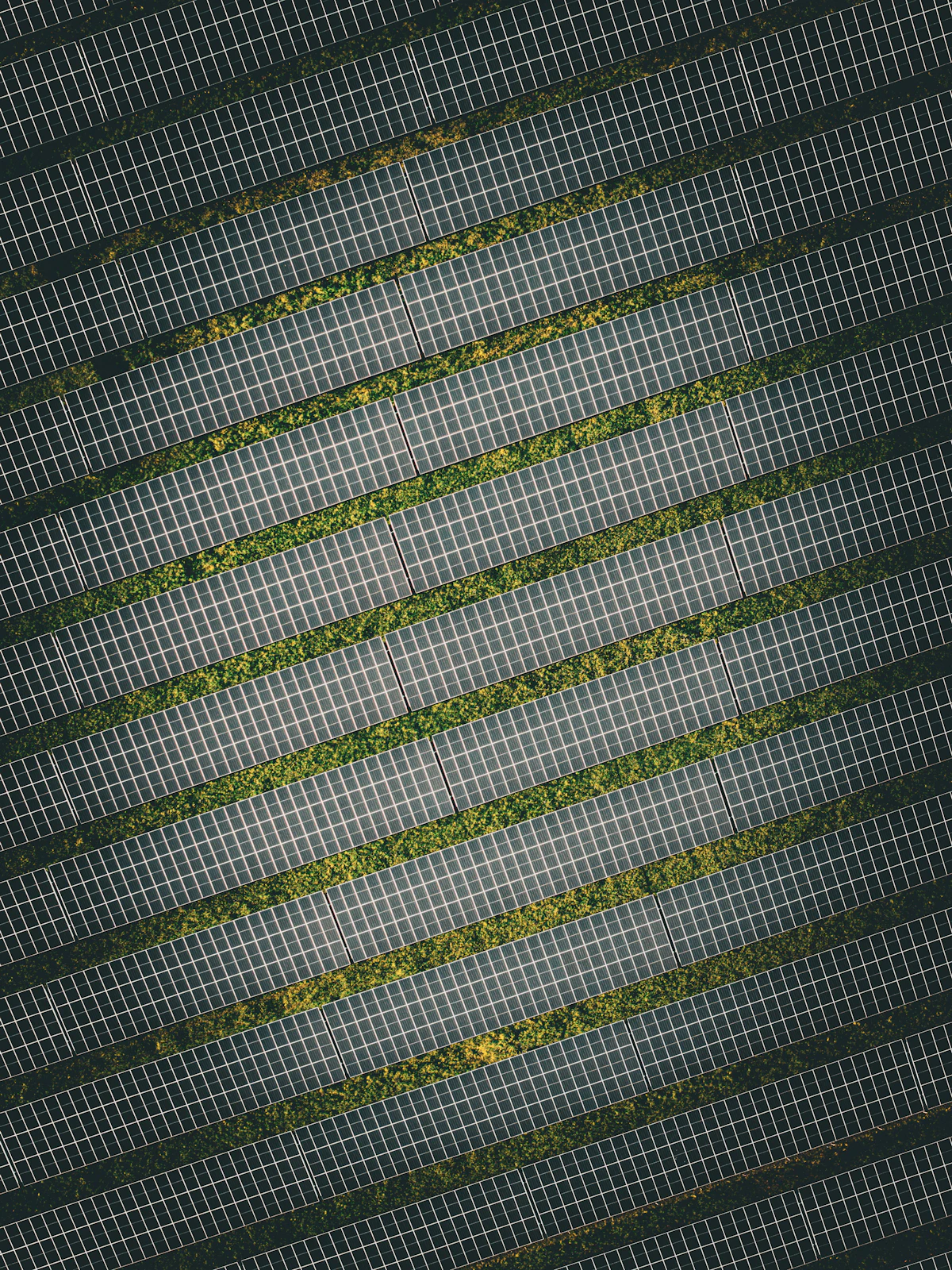 Kiowa hay farm · 62 kW — Agricultural array powering irrigation