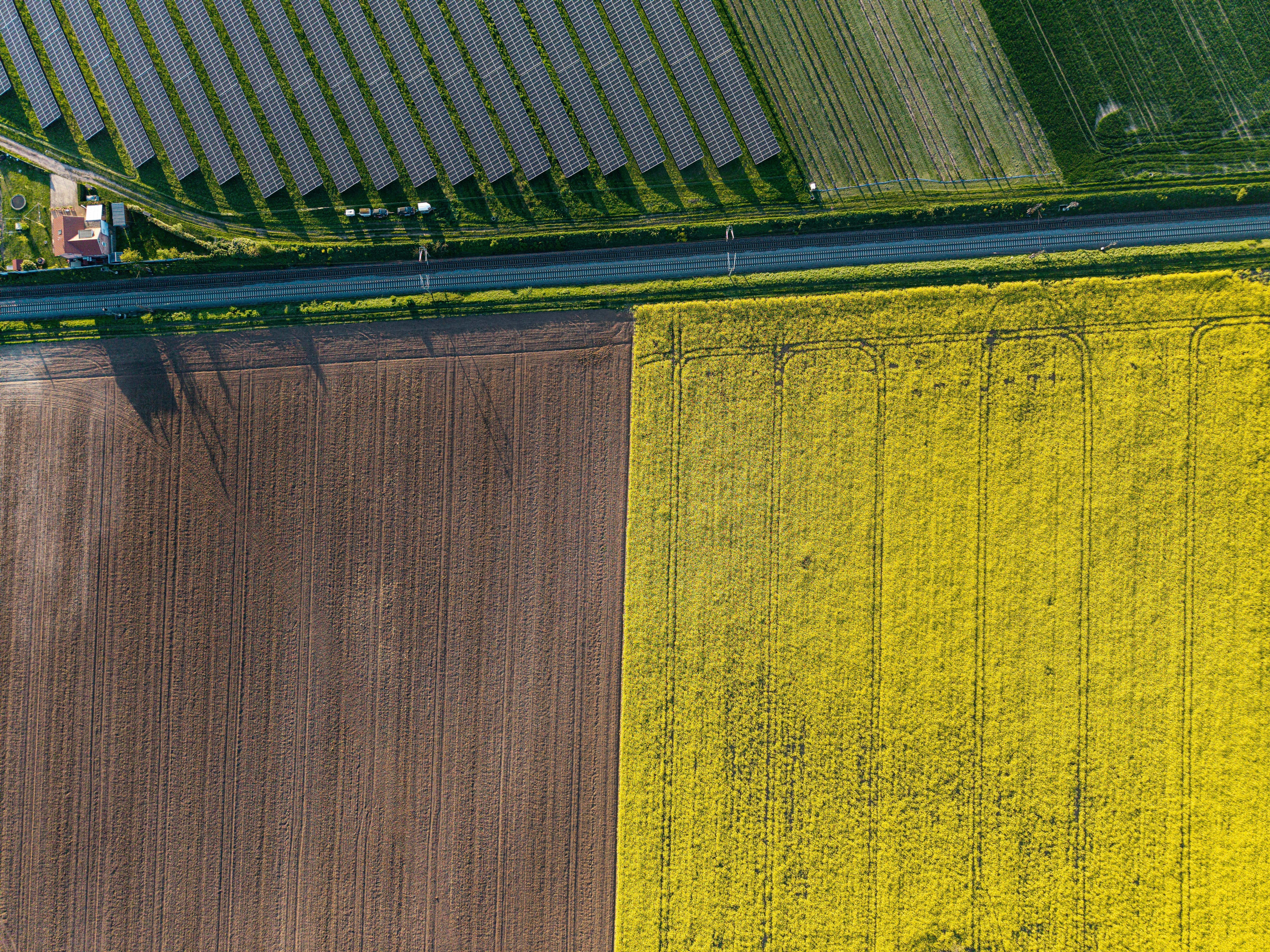 Agrivoltaics: Harvesting Energy Without Sacrificing the Land