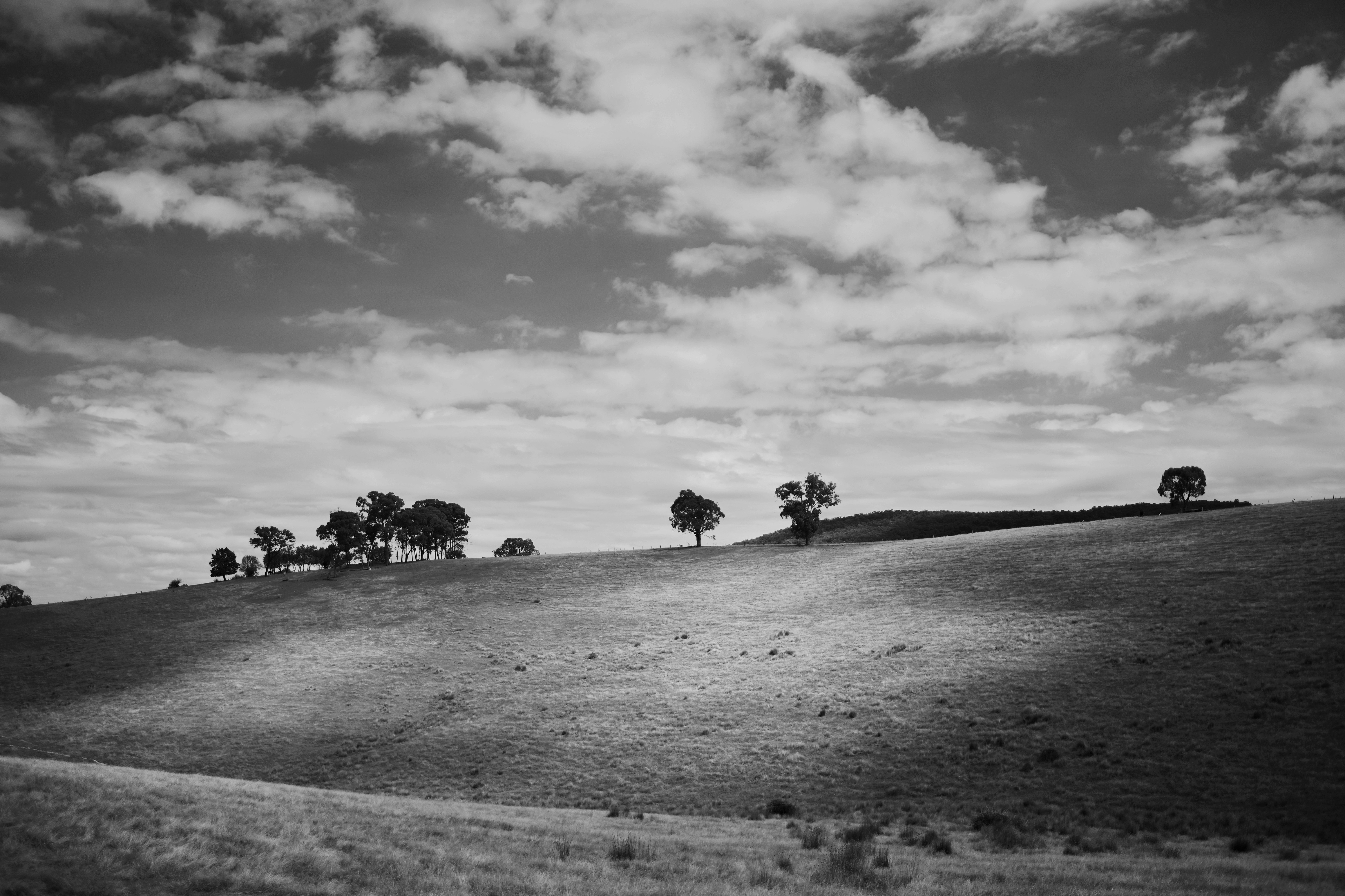 Rolling hills with scattered trees under a cloudy sky