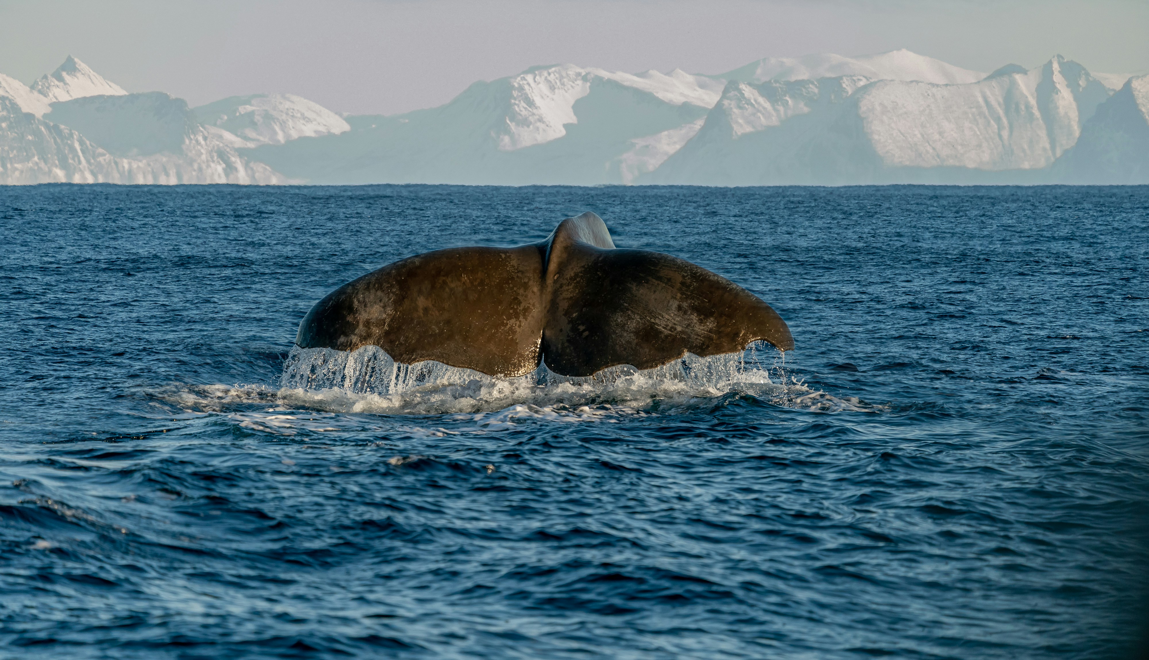 That Is An Excellent Candidate For Refractive Lens Exchange?
