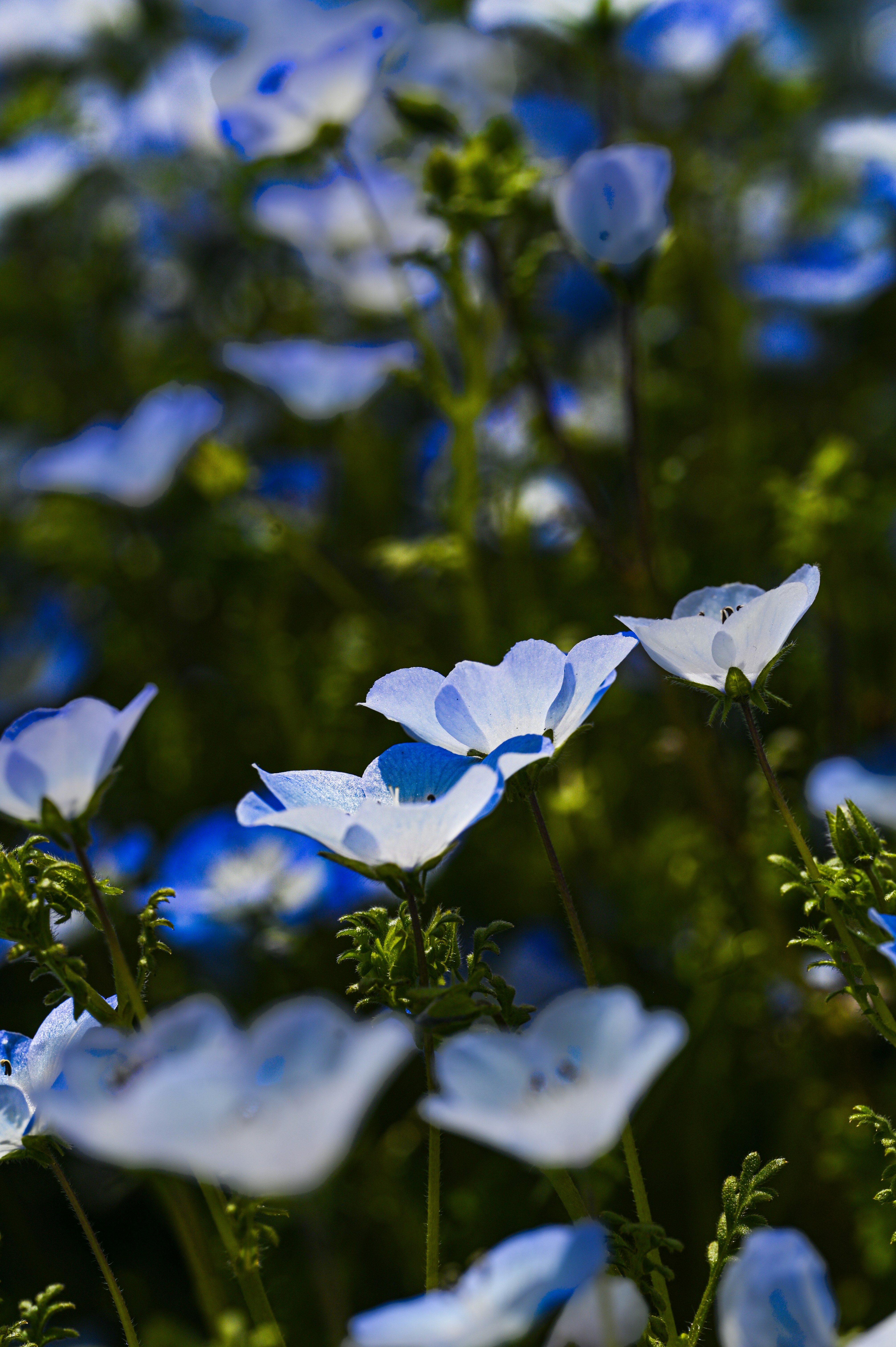 Photo by isoten