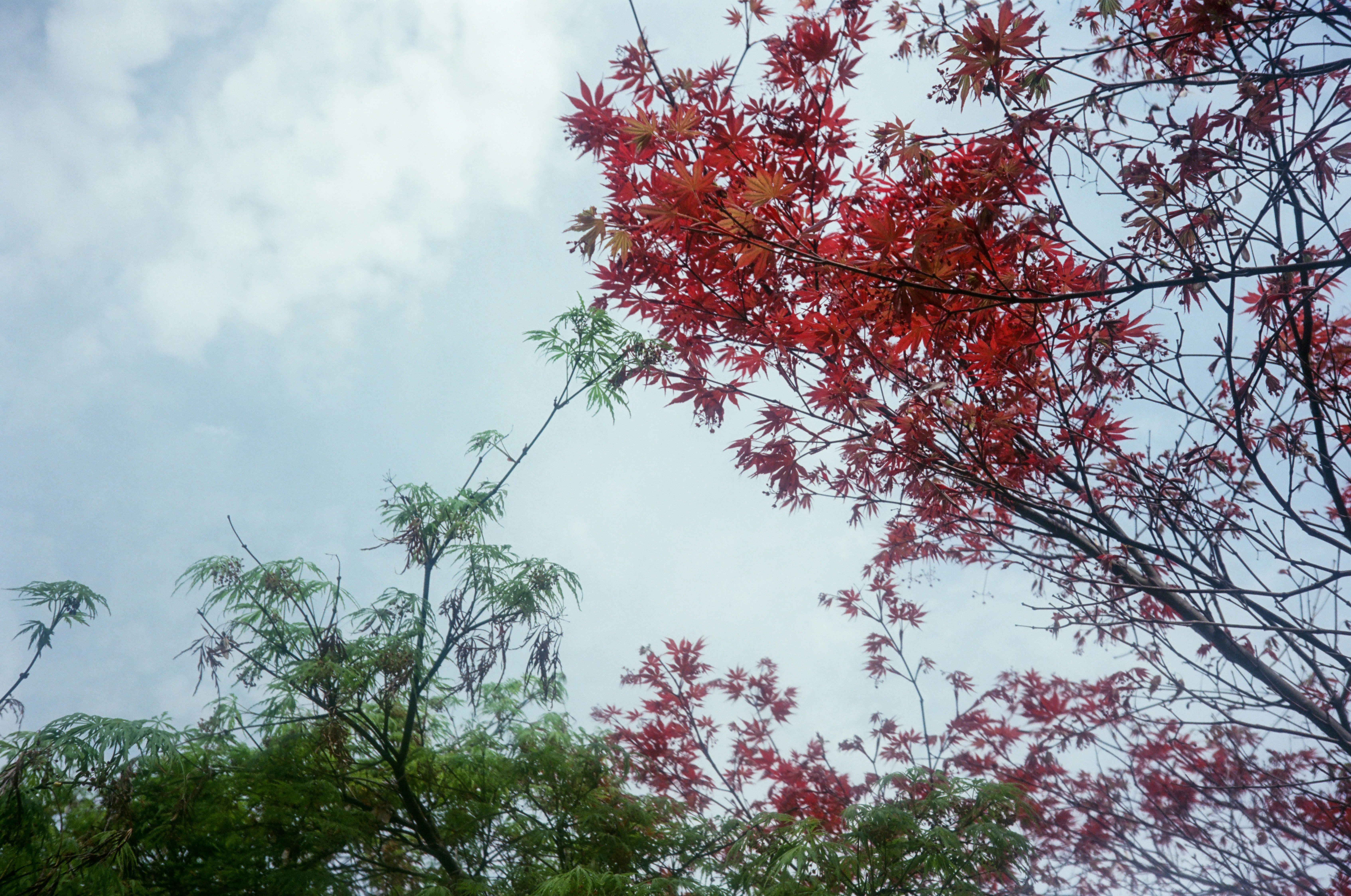 Photo by wenzywong