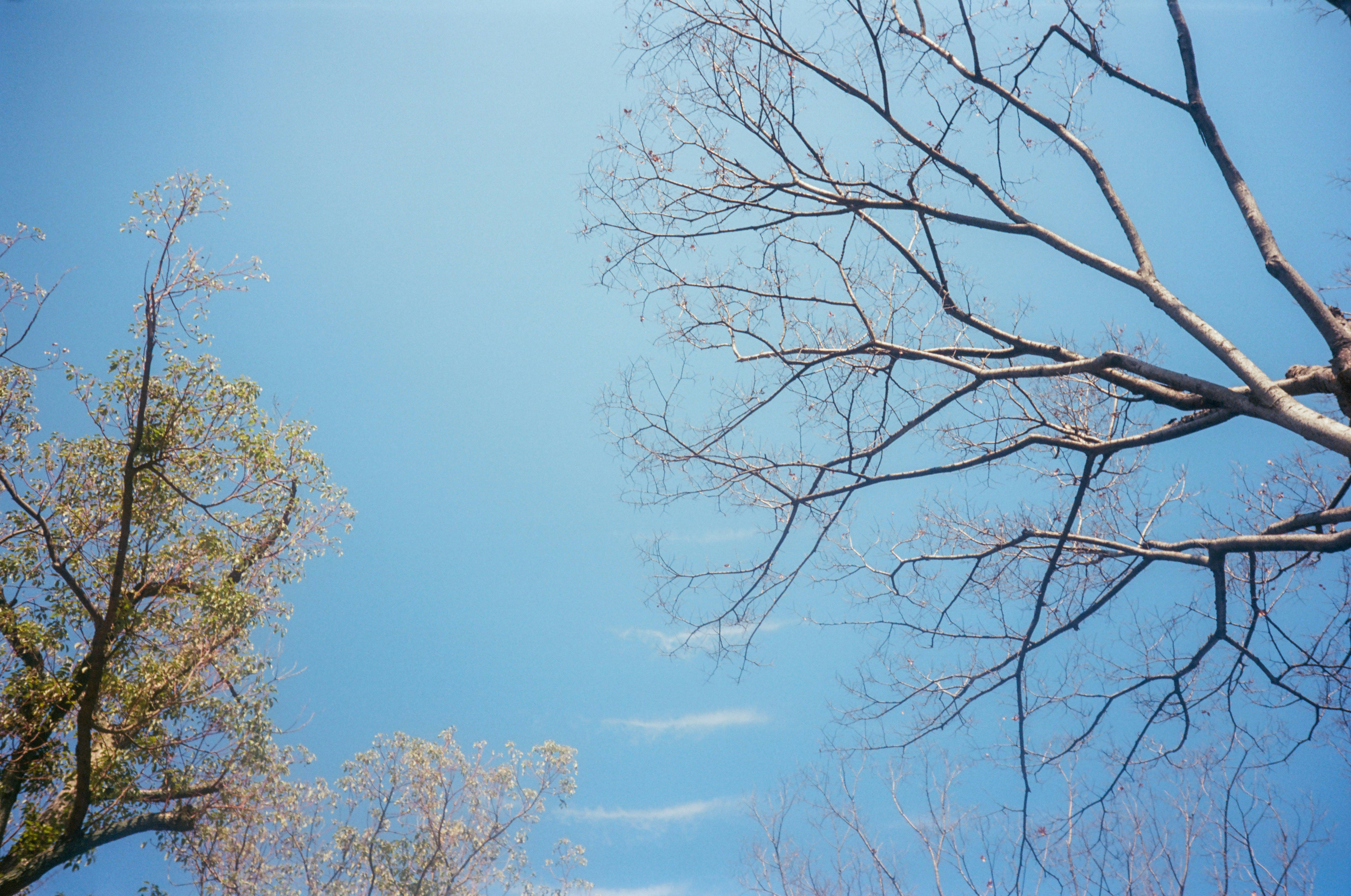 Photo by wenzywong